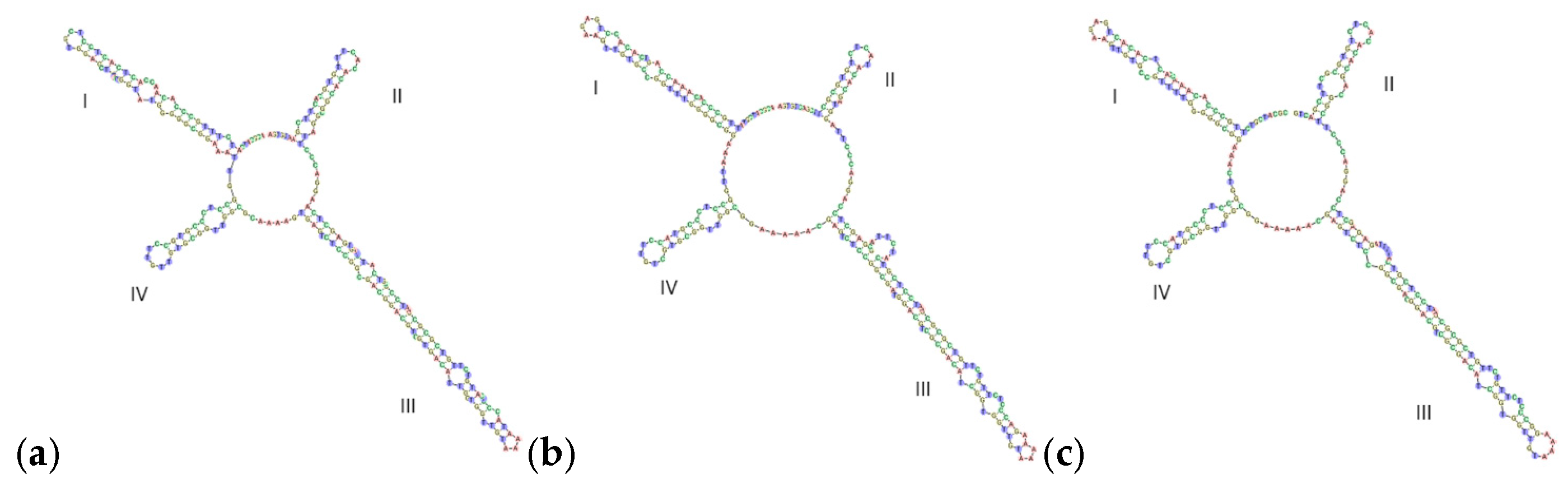 Genes 16 01333 g005 Genes 16 01333 g005
