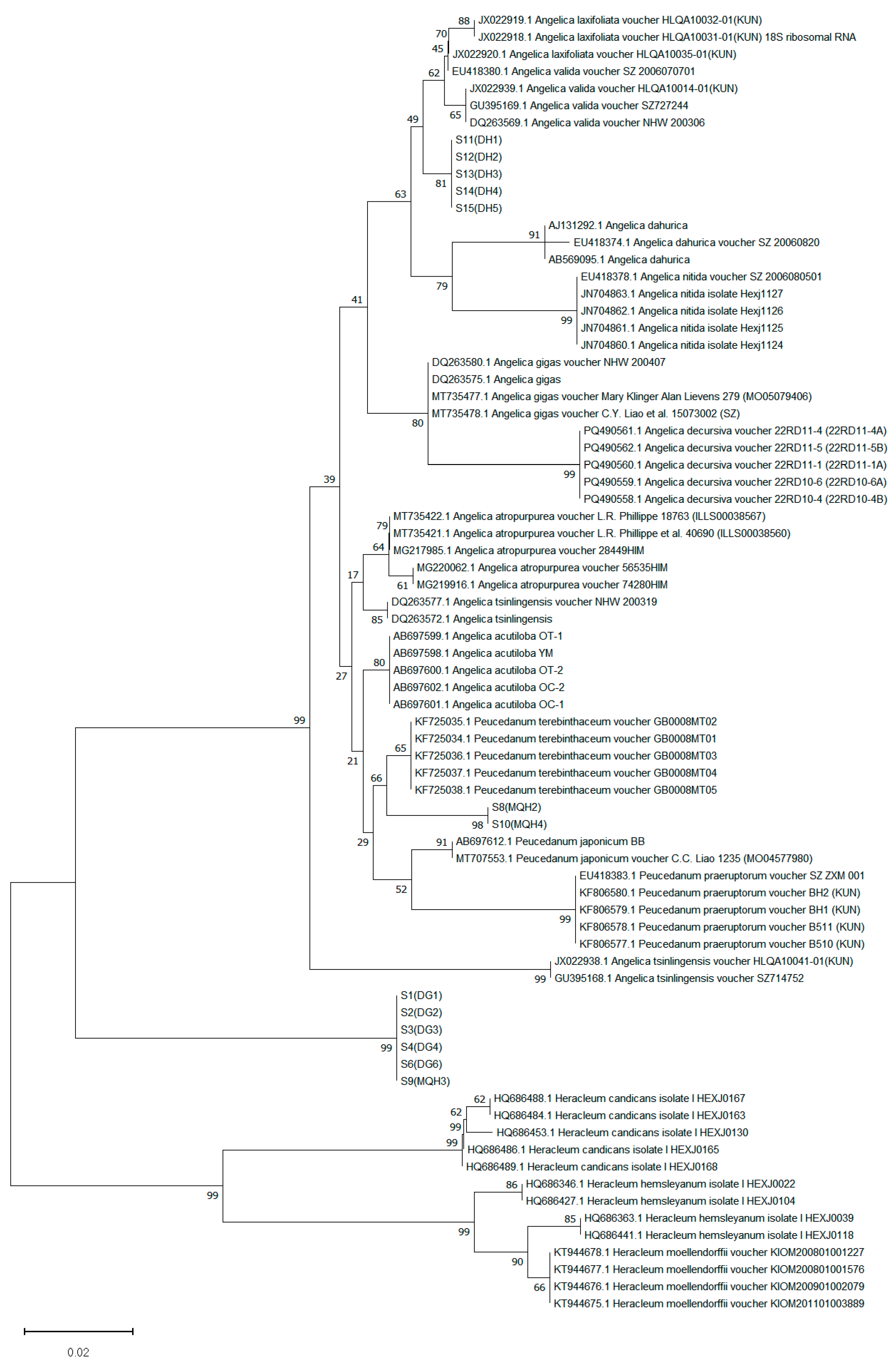 Genes 16 01333 g006 Genes 16 01333 g006