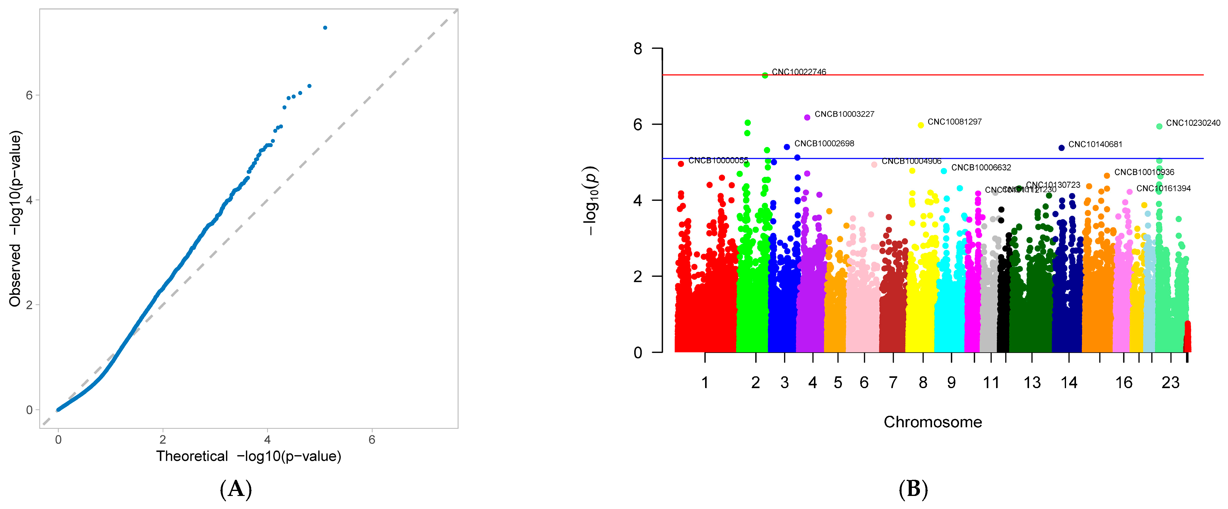 Genes 16 01335 g001 Genes 16 01335 g001