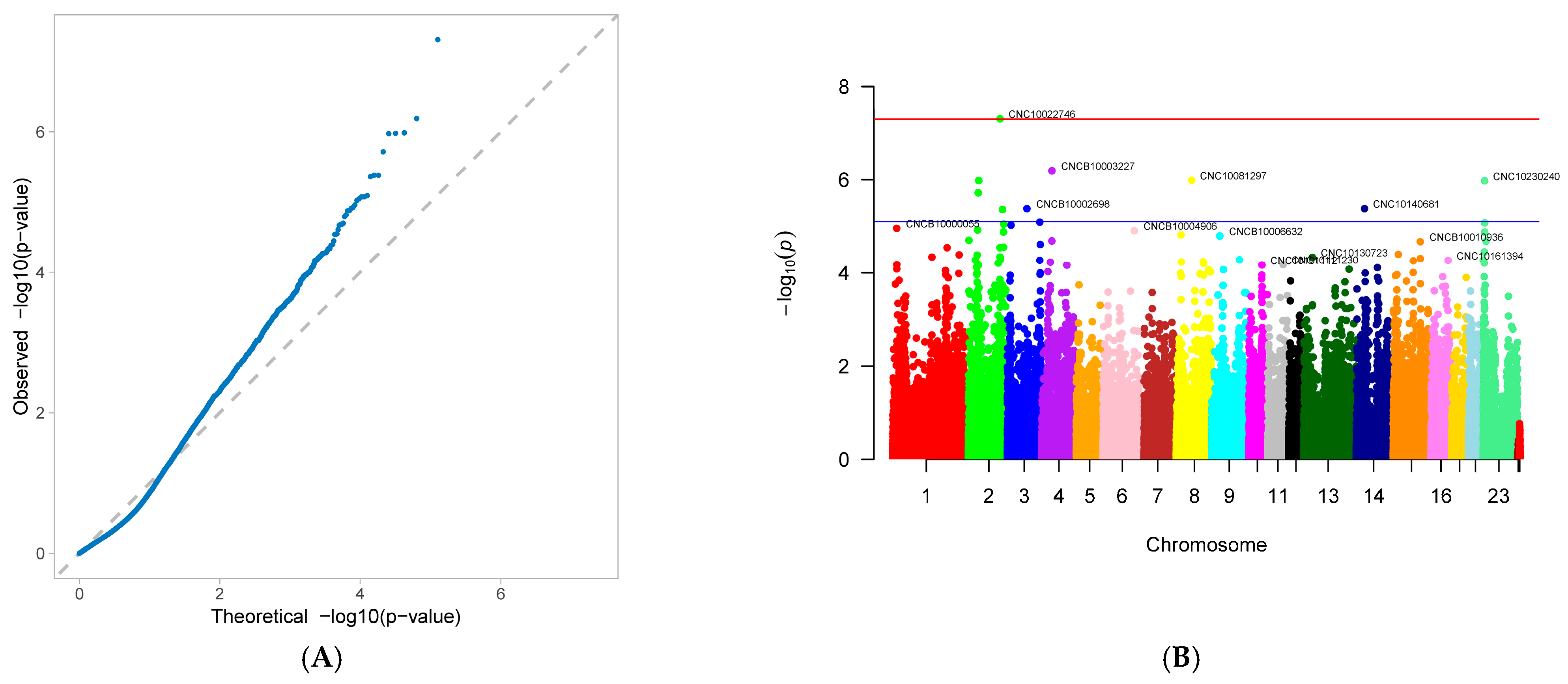 Genes 16 01335 g002 Genes 16 01335 g002