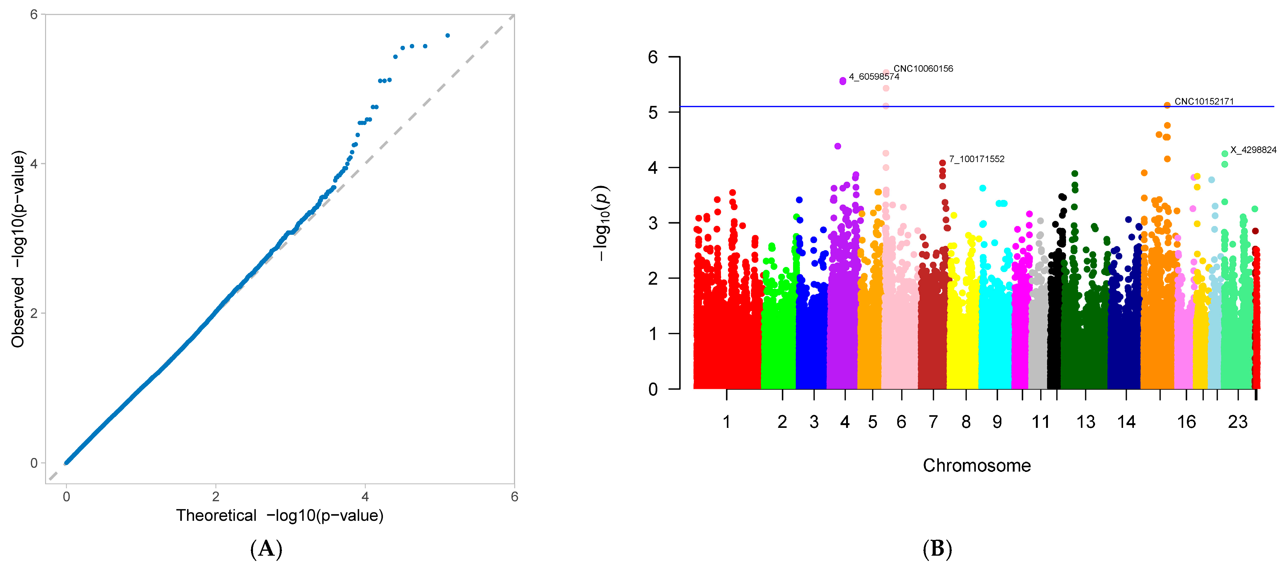Genes 16 01335 g006 Genes 16 01335 g006