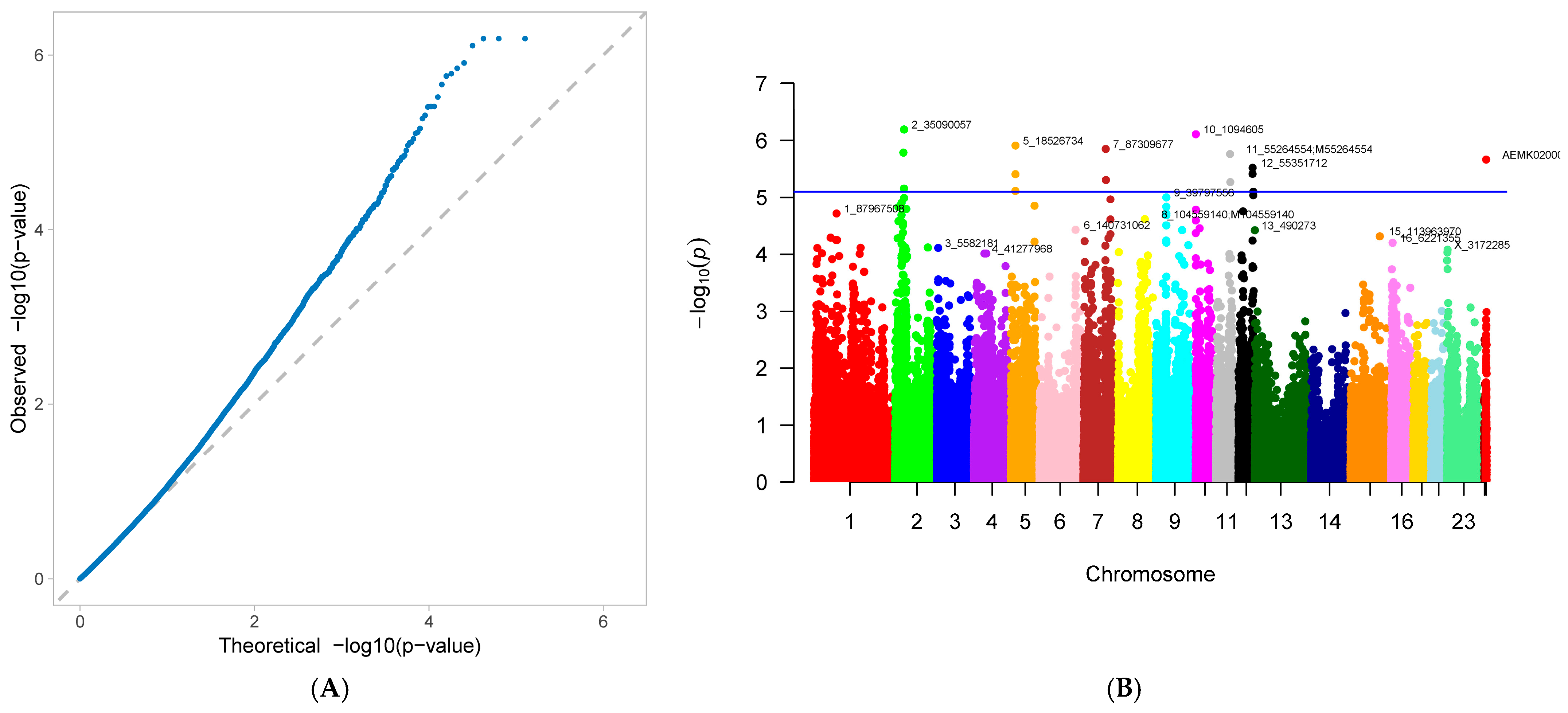 Genes 16 01335 g007 Genes 16 01335 g007