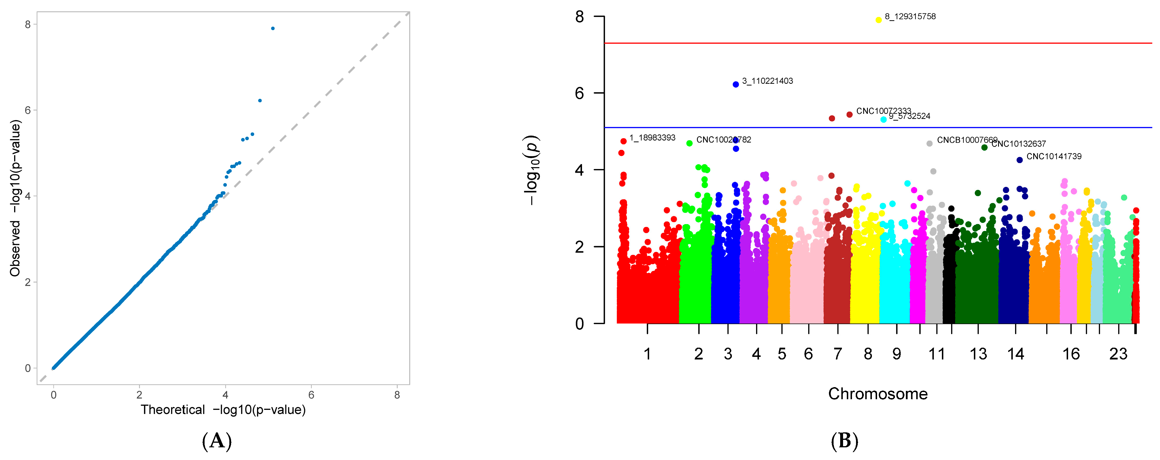 Genes 16 01335 g008 Genes 16 01335 g008