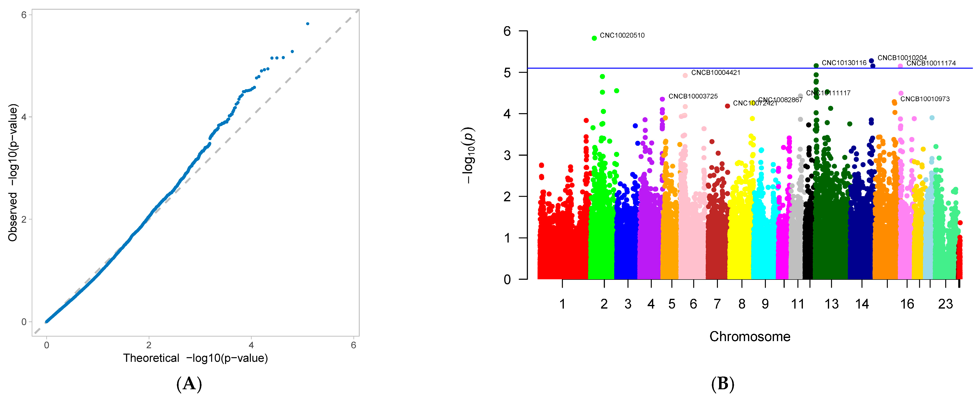 Genes 16 01335 g009 Genes 16 01335 g009