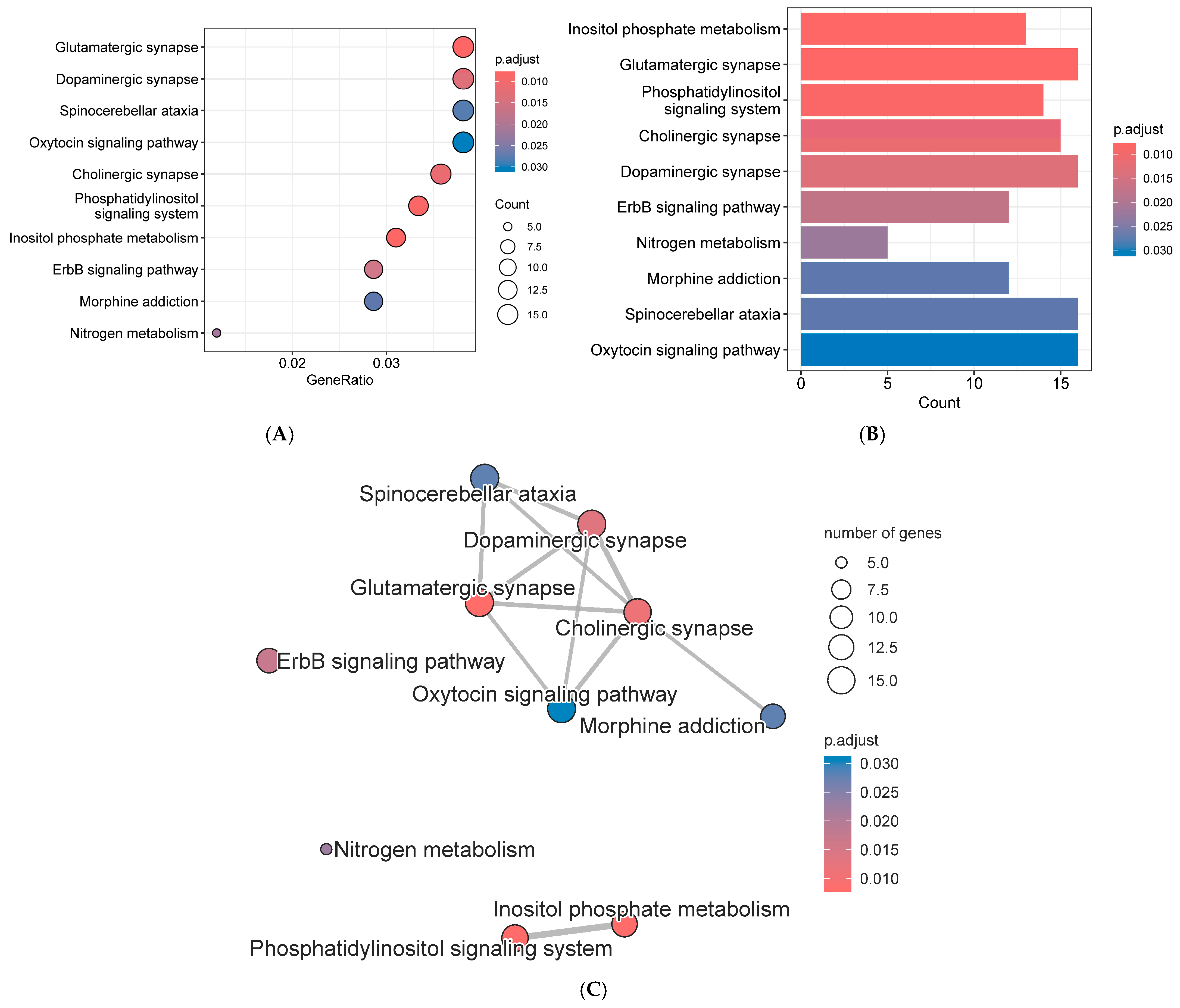 Genes 16 01335 g012 Genes 16 01335 g012