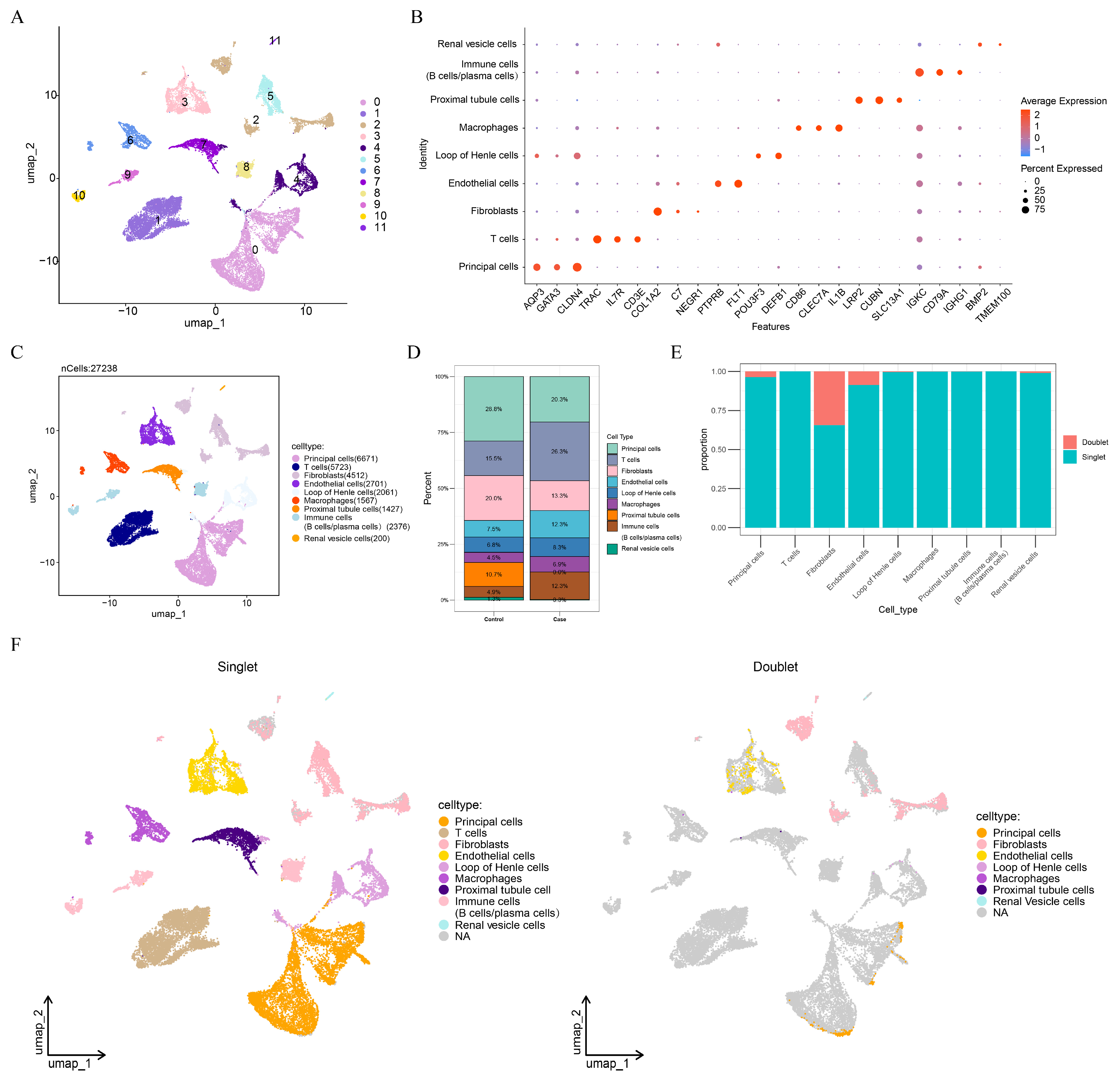 Genes 16 01338 g001 Genes 16 01338 g001