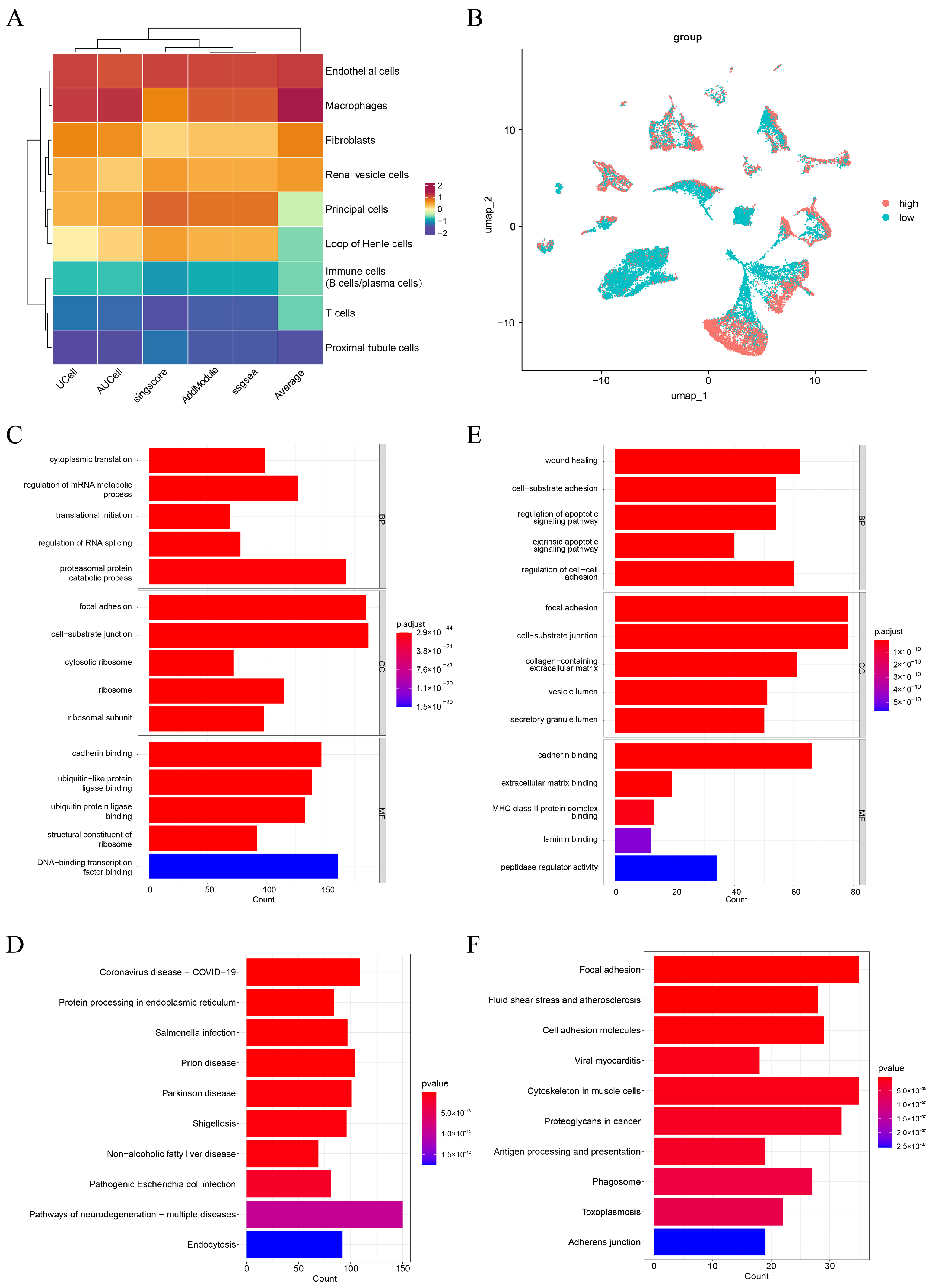 Genes 16 01338 g002 Genes 16 01338 g002