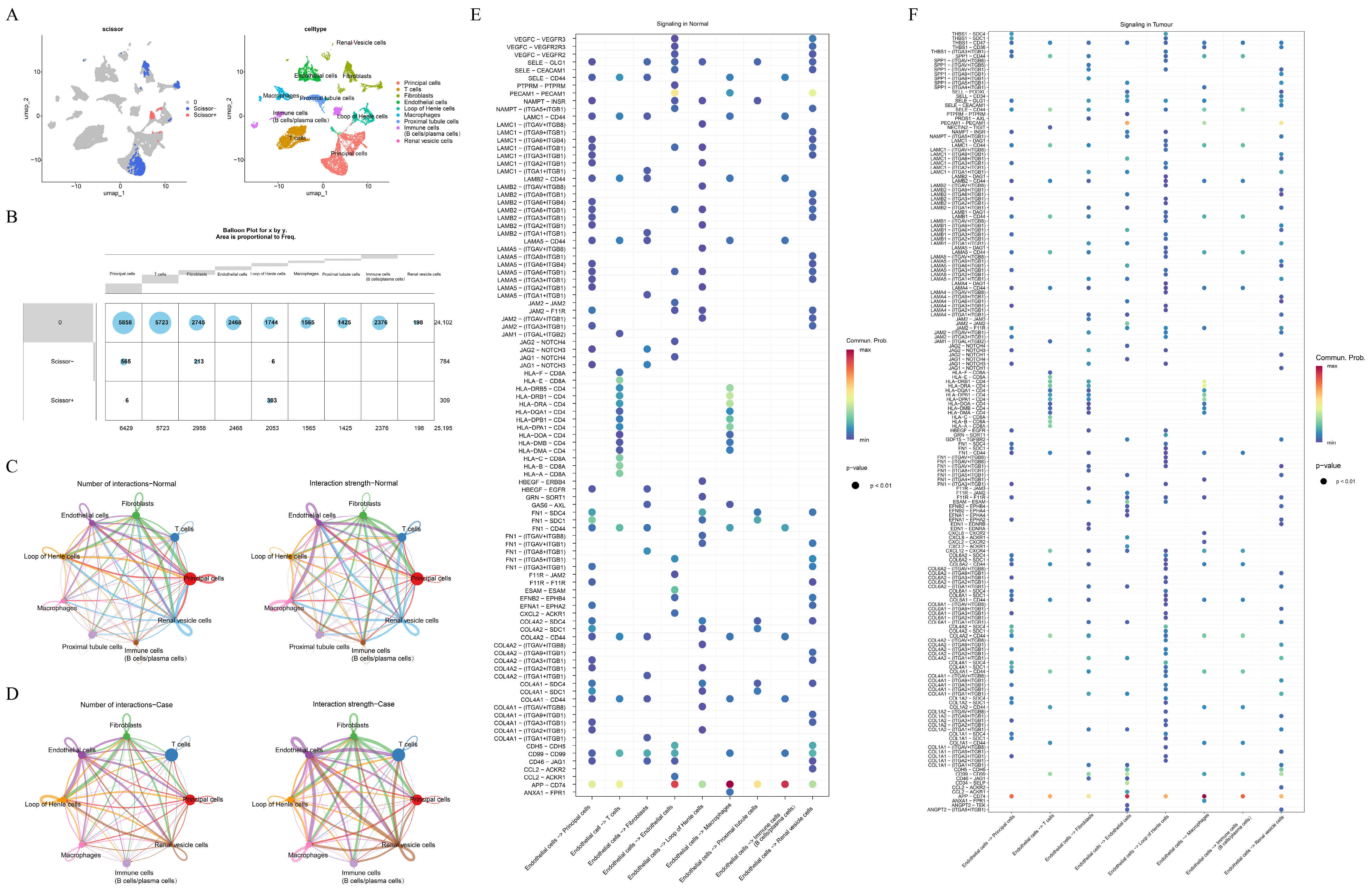 Genes 16 01338 g003 Genes 16 01338 g003