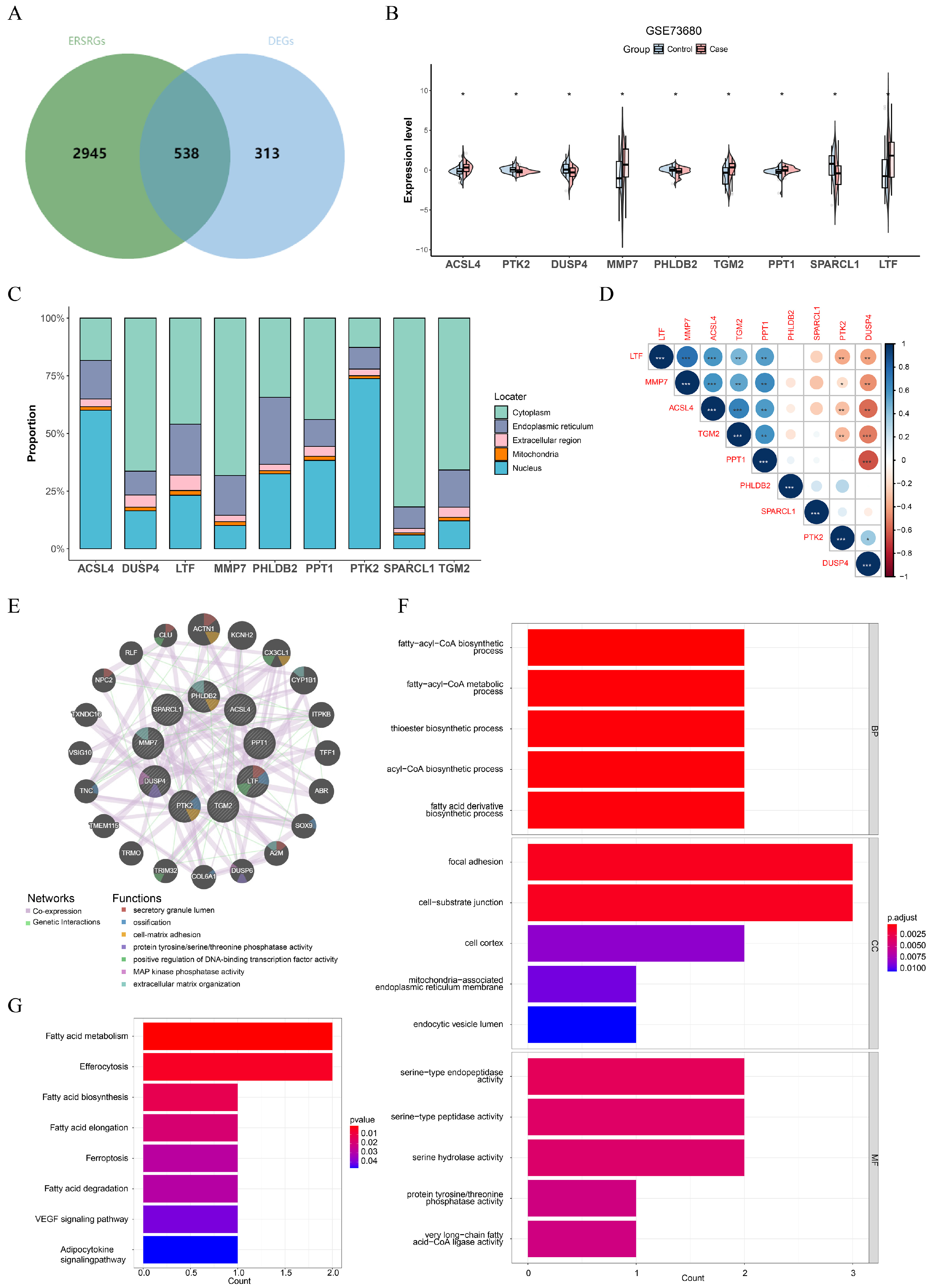 Genes 16 01338 g004 Genes 16 01338 g004