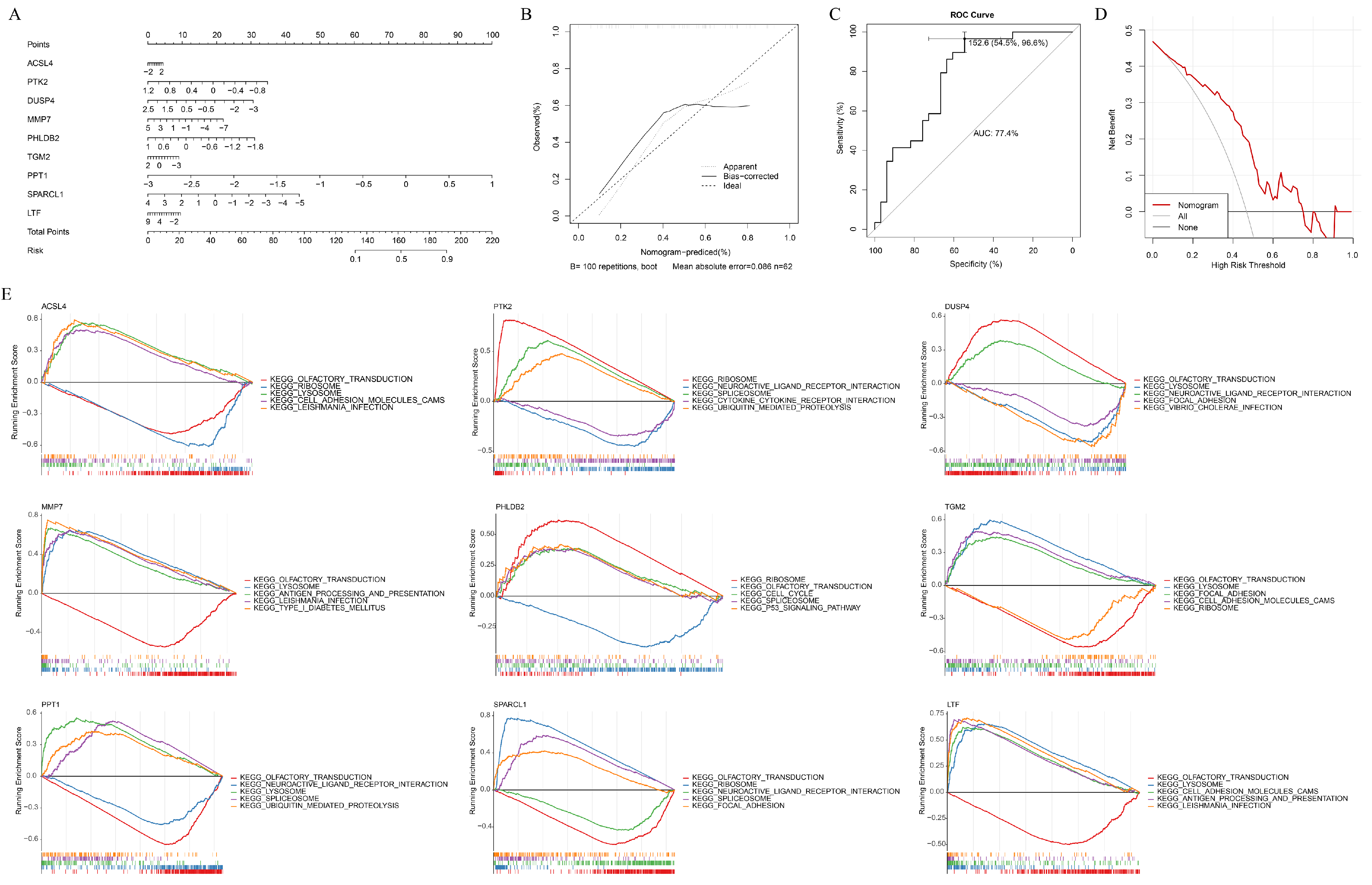 Genes 16 01338 g005 Genes 16 01338 g005