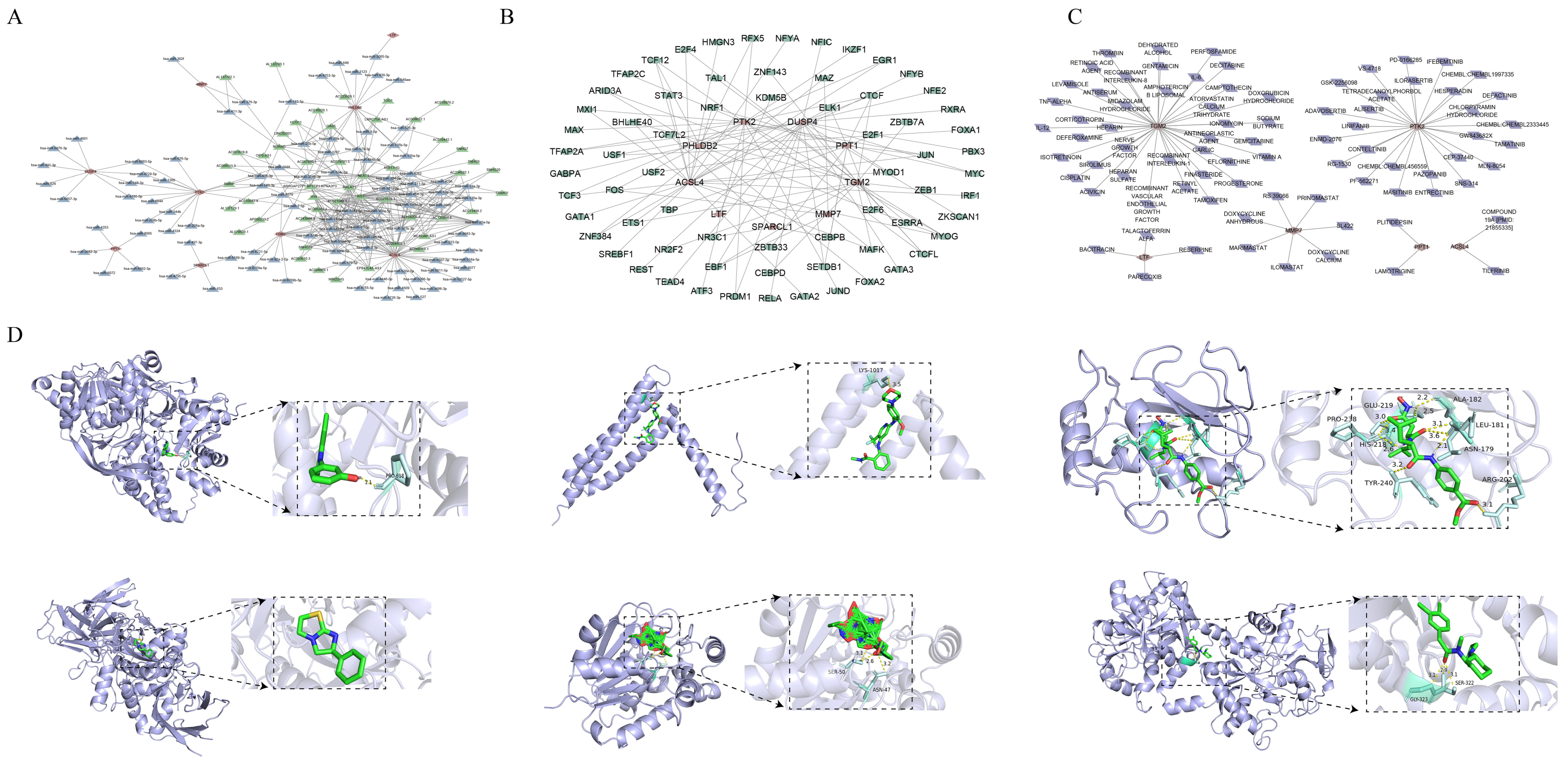 Genes 16 01338 g006 Genes 16 01338 g006