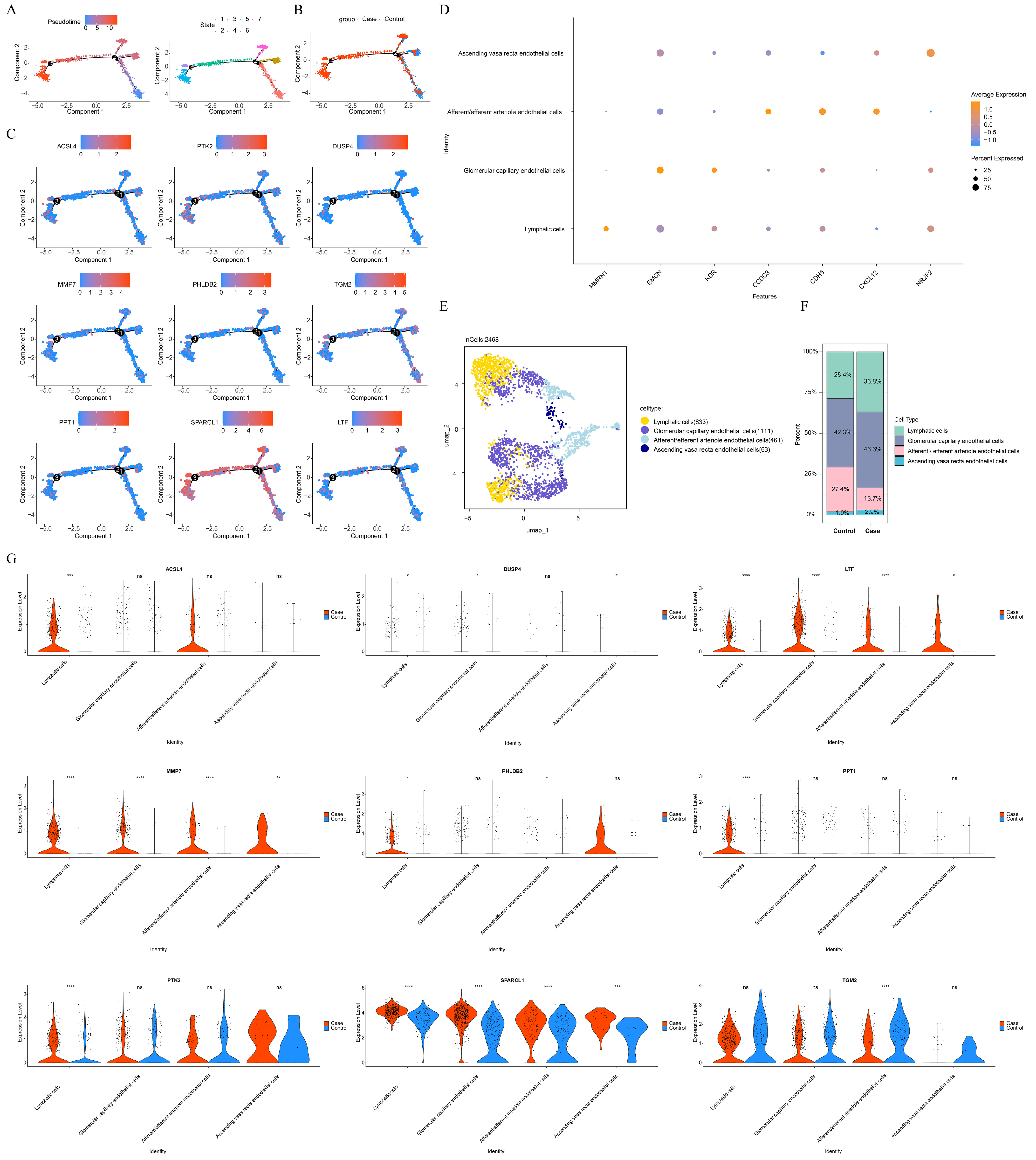 Genes 16 01338 g007 Genes 16 01338 g007
