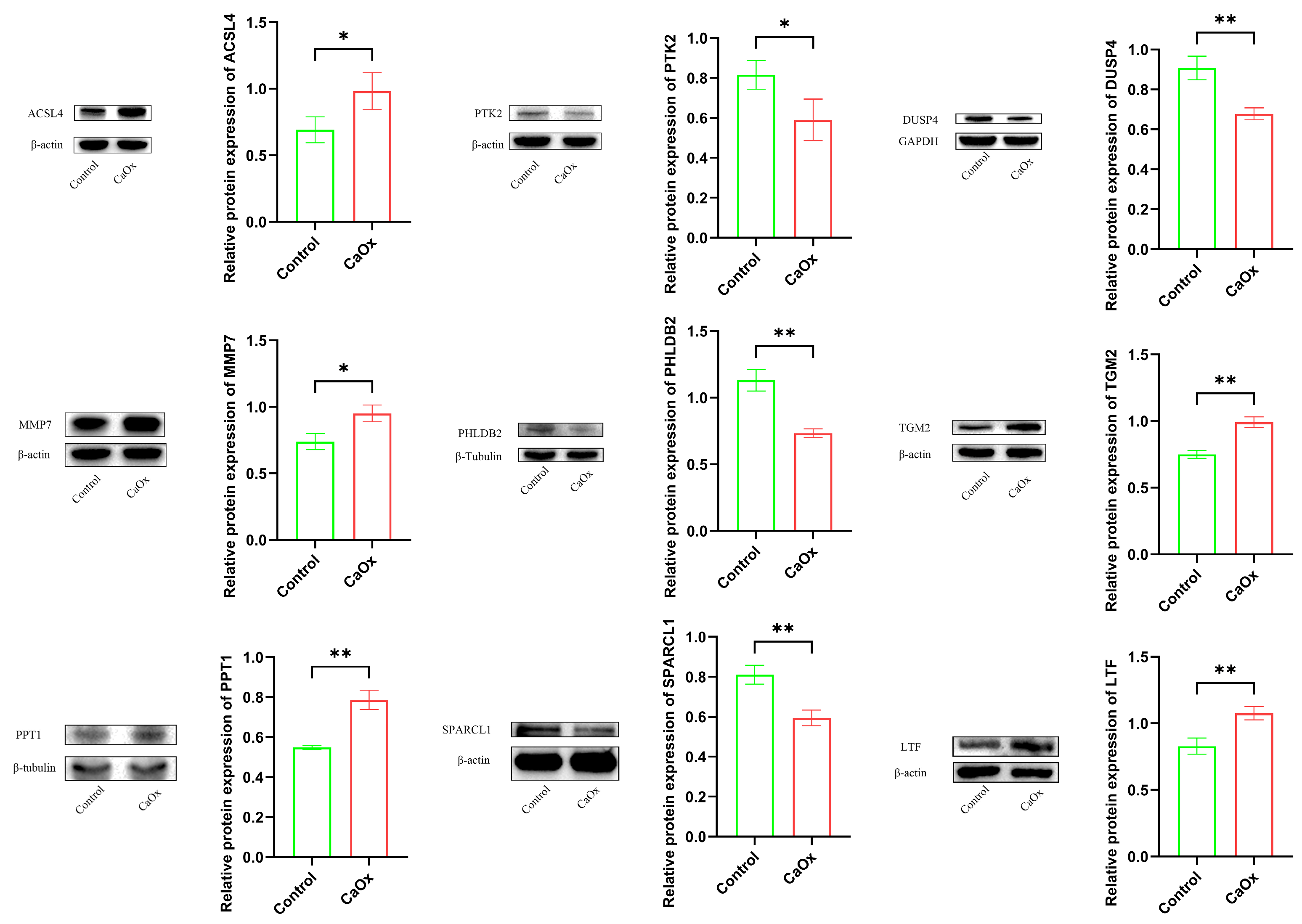 Genes 16 01338 g009 Genes 16 01338 g009