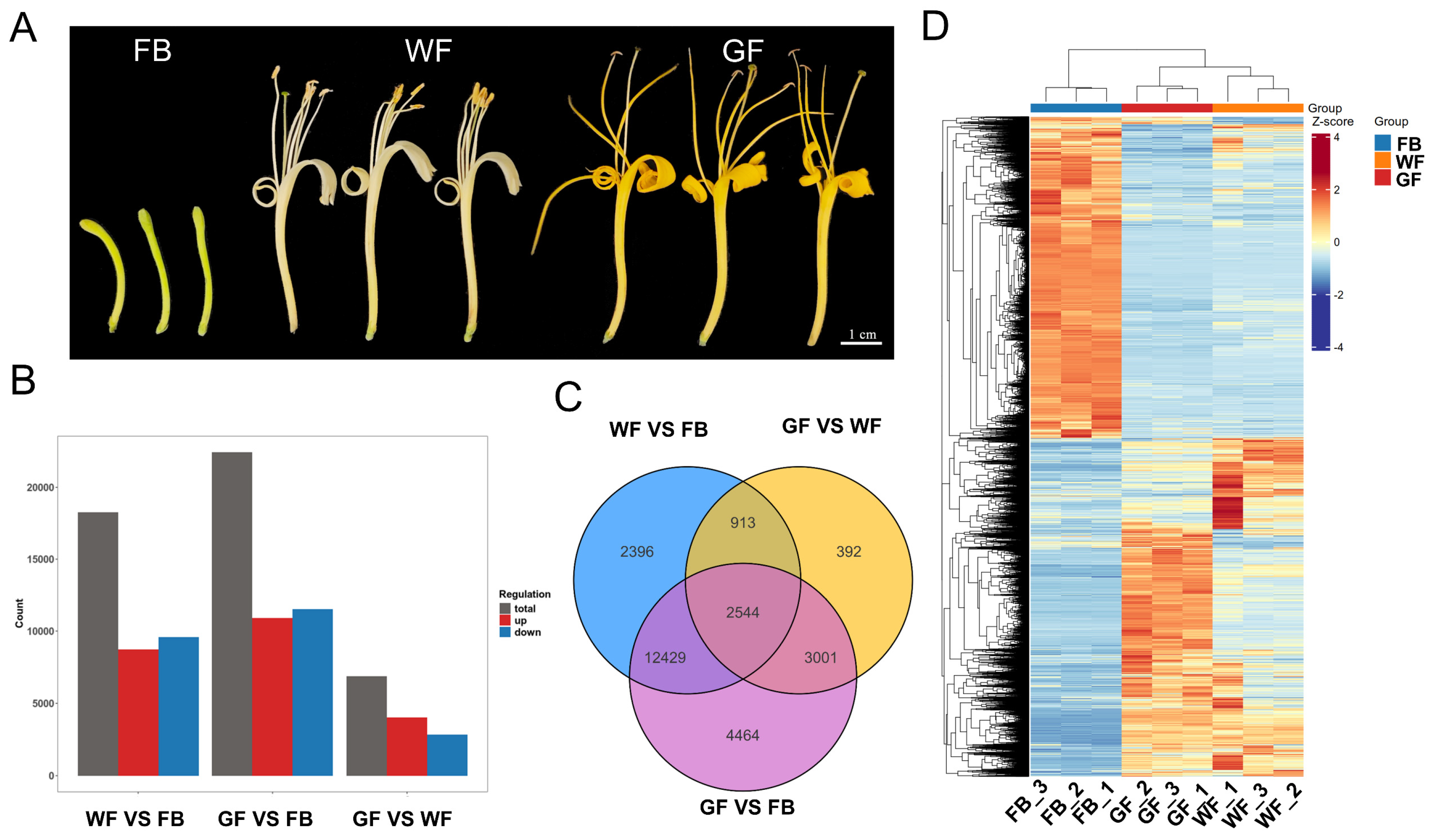 Genes 16 01339 g001 Genes 16 01339 g001