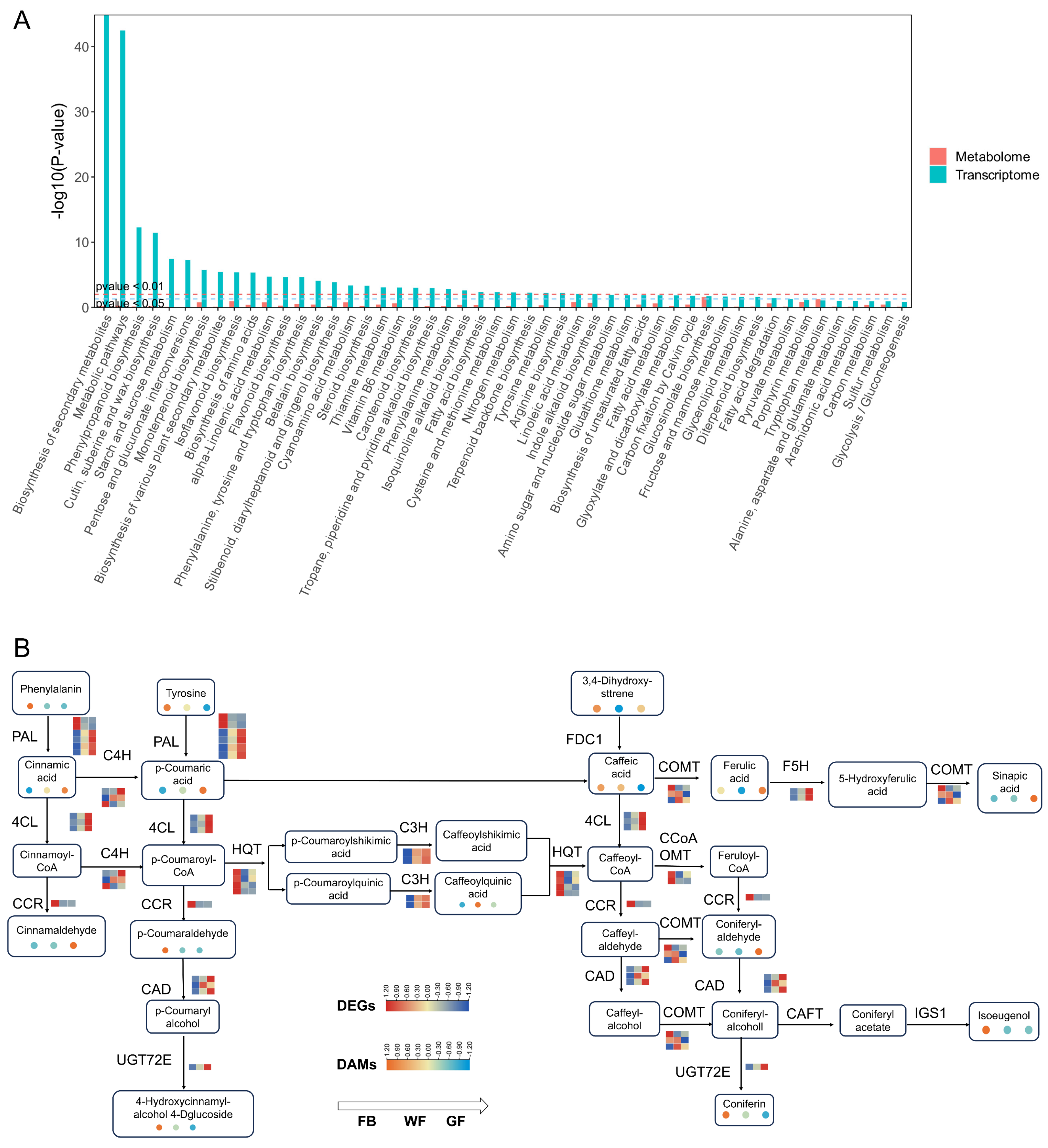 Genes 16 01339 g004 Genes 16 01339 g004