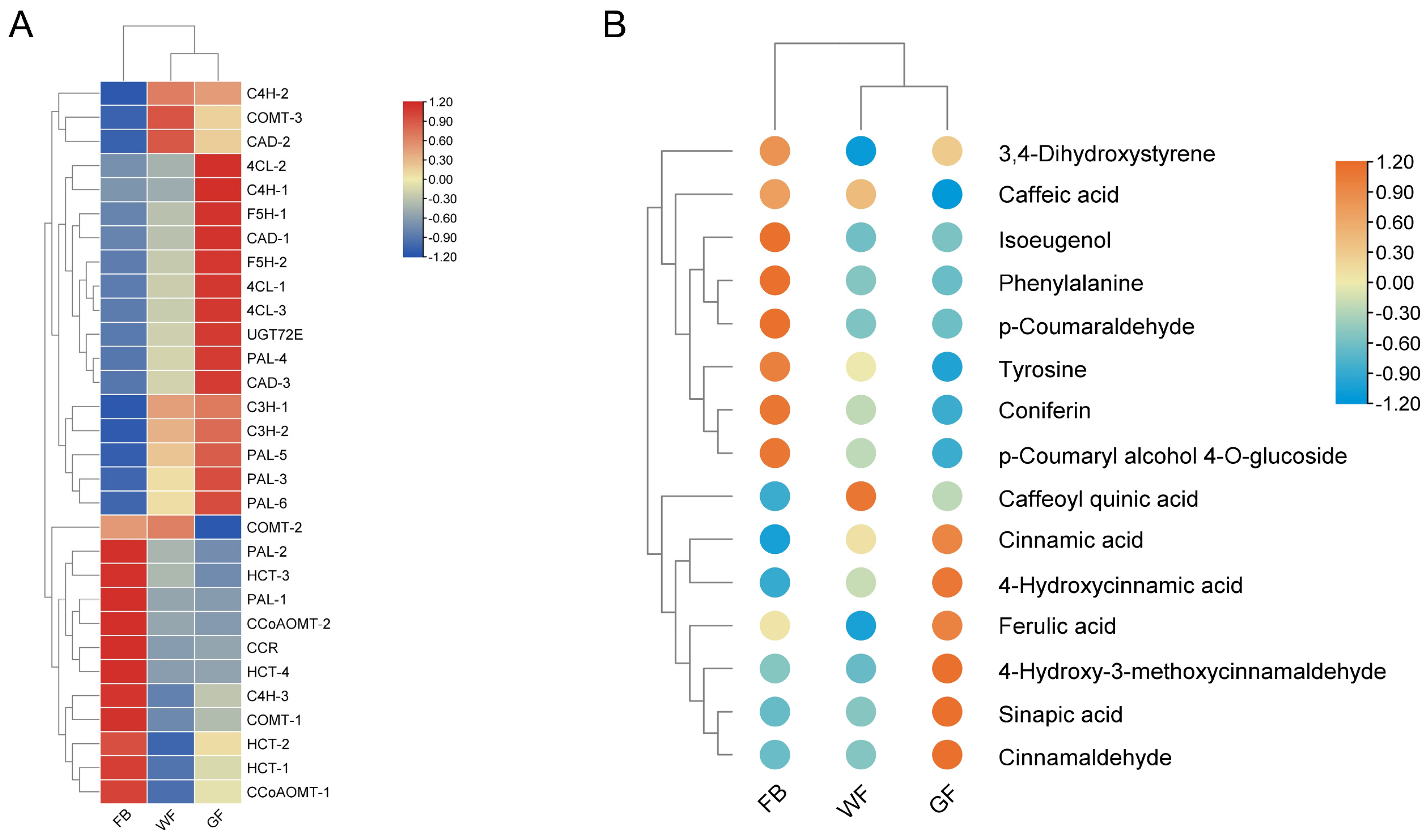 Genes 16 01339 g005 Genes 16 01339 g005
