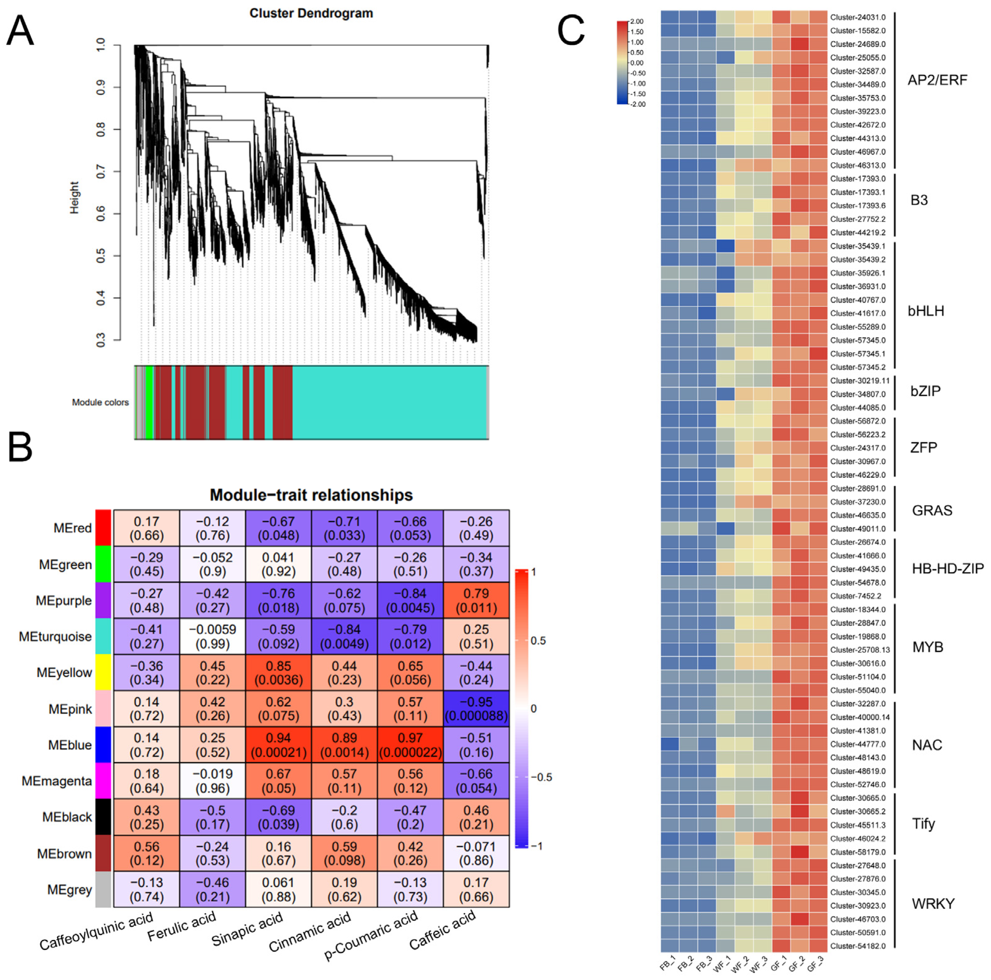 Genes 16 01339 g006 Genes 16 01339 g006