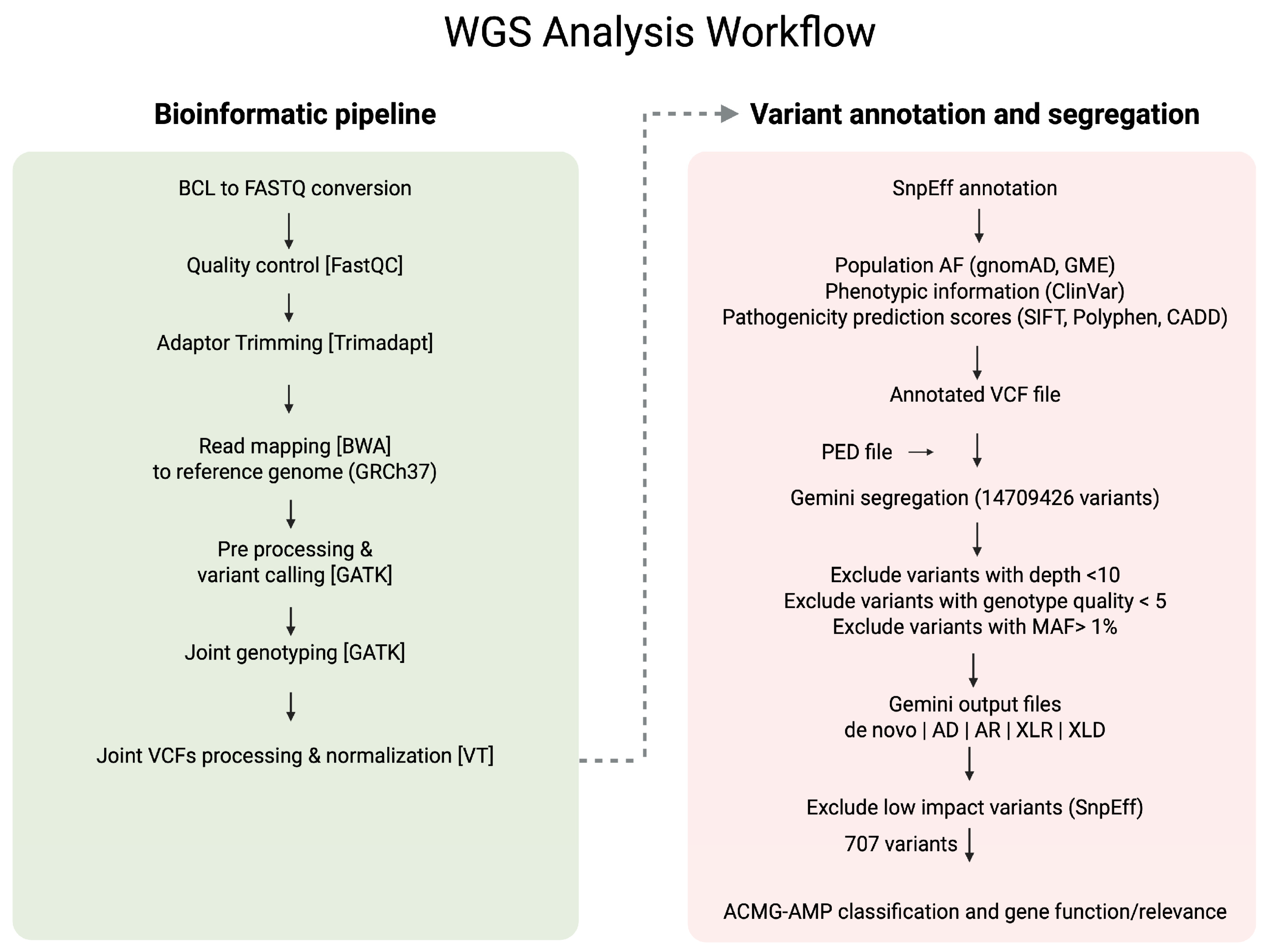 Genes 16 01340 g002 Genes 16 01340 g002