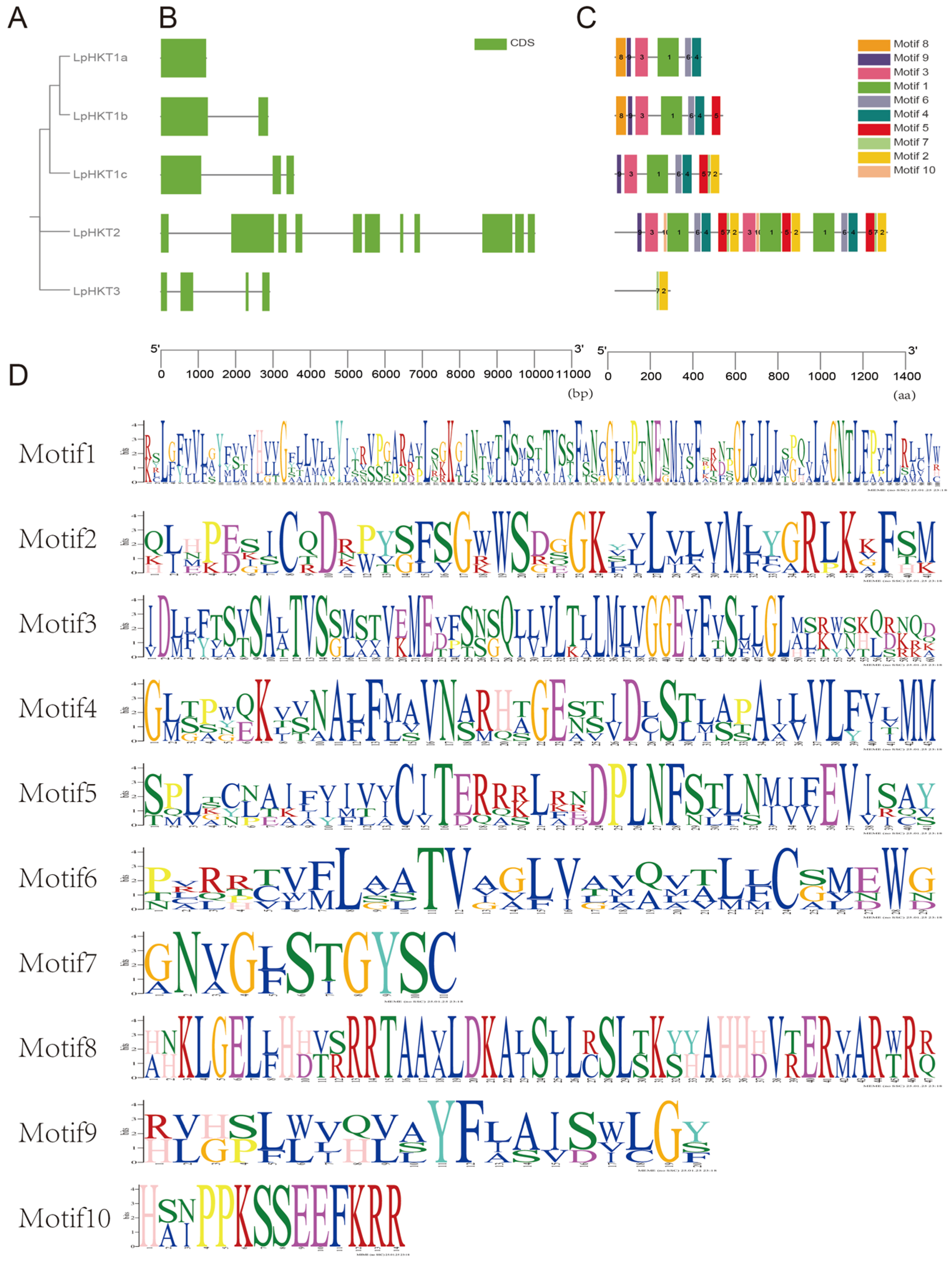 Genes 16 01341 g003 Genes 16 01341 g003