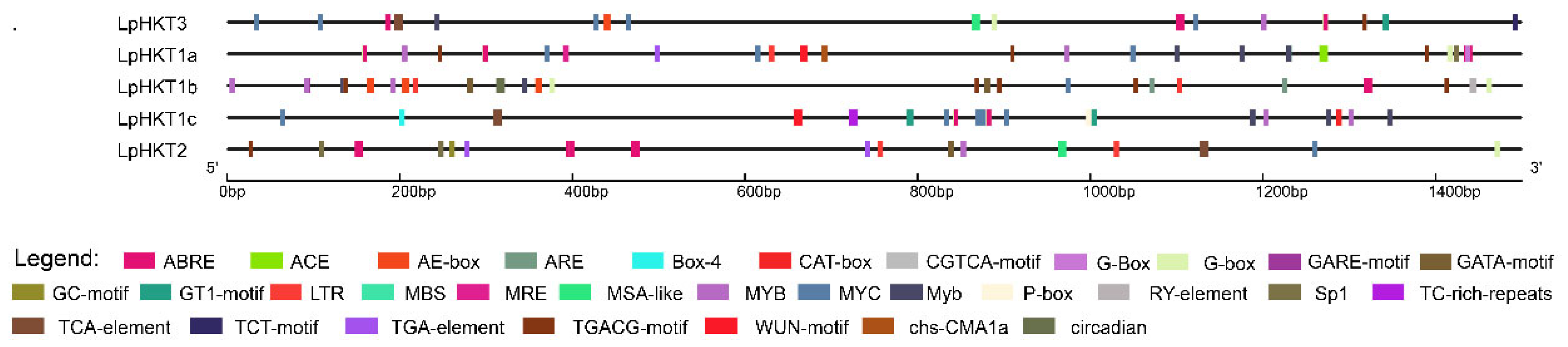 Genes 16 01341 g004 Genes 16 01341 g004