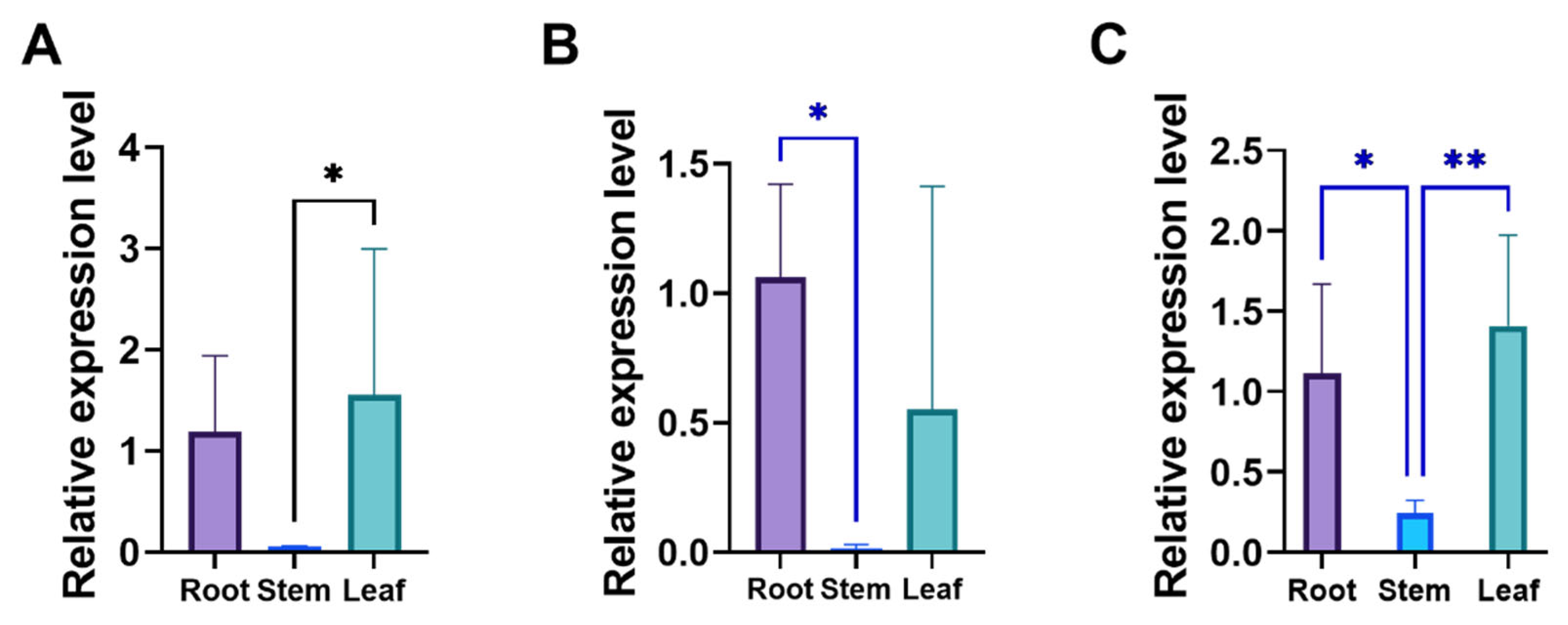 Genes 16 01341 g005 Genes 16 01341 g005