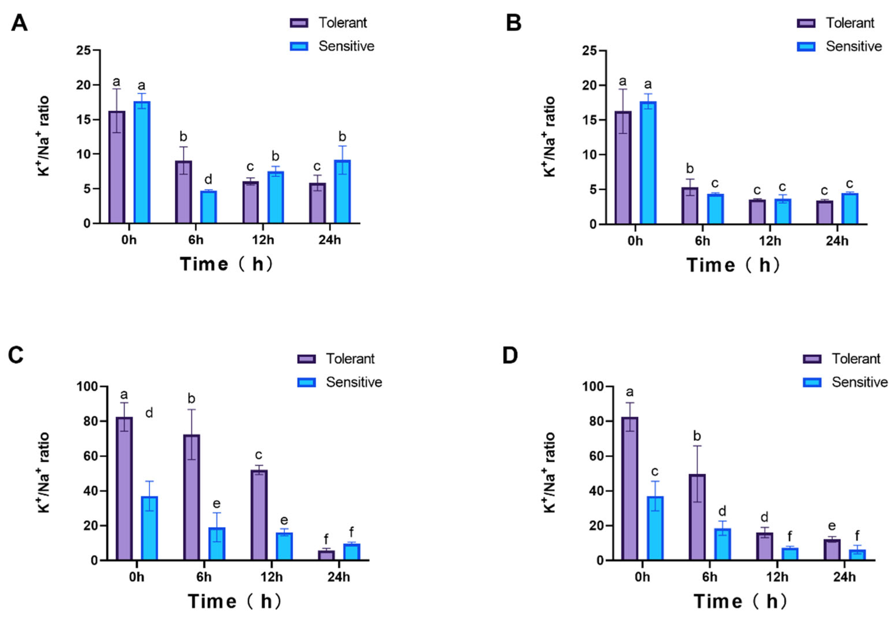 Genes 16 01341 g010 Genes 16 01341 g010