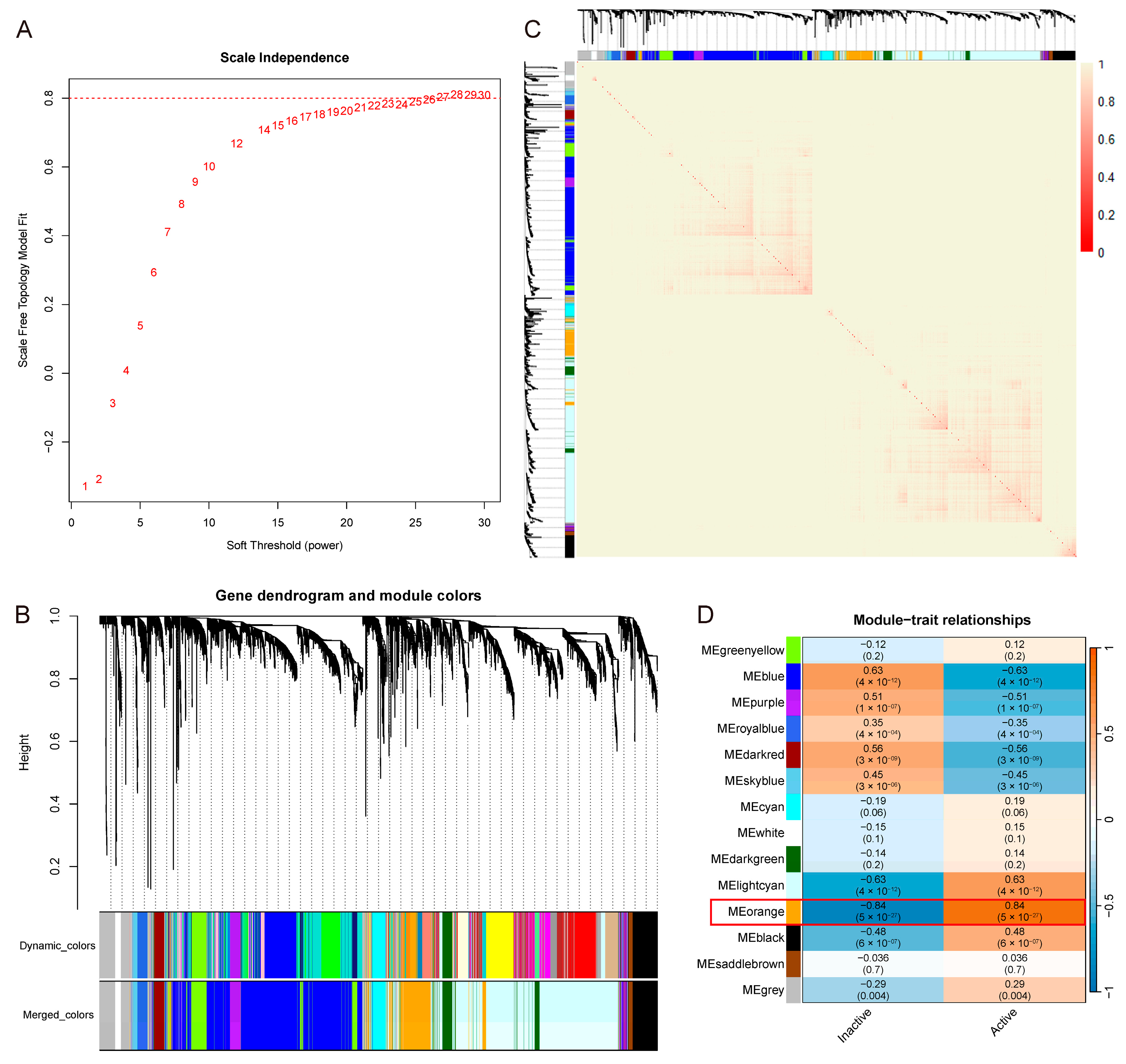 Genes 16 01342 g003 Genes 16 01342 g003