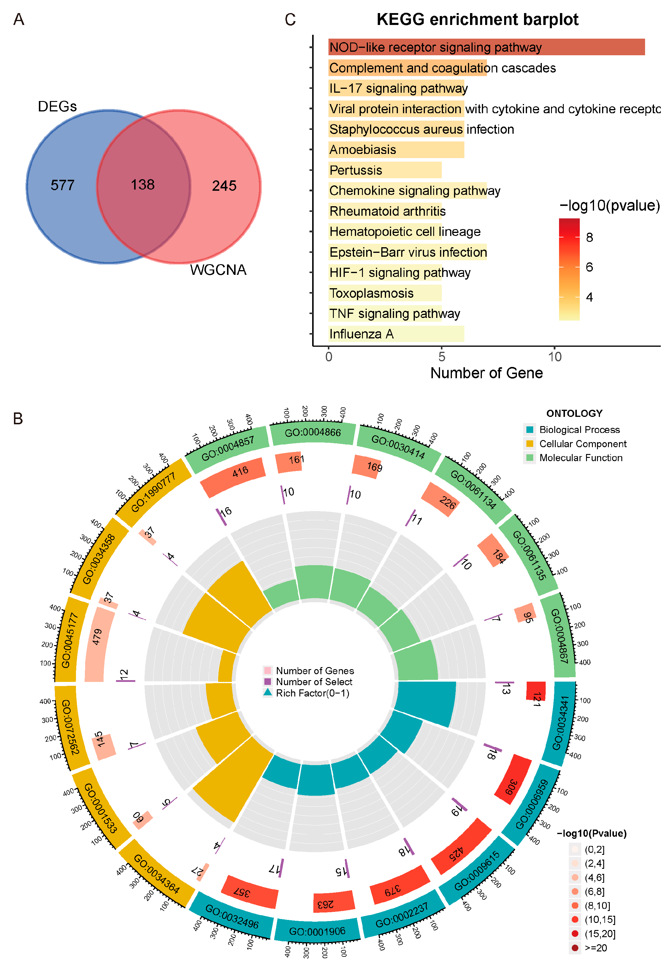Genes 16 01342 g004 Genes 16 01342 g004