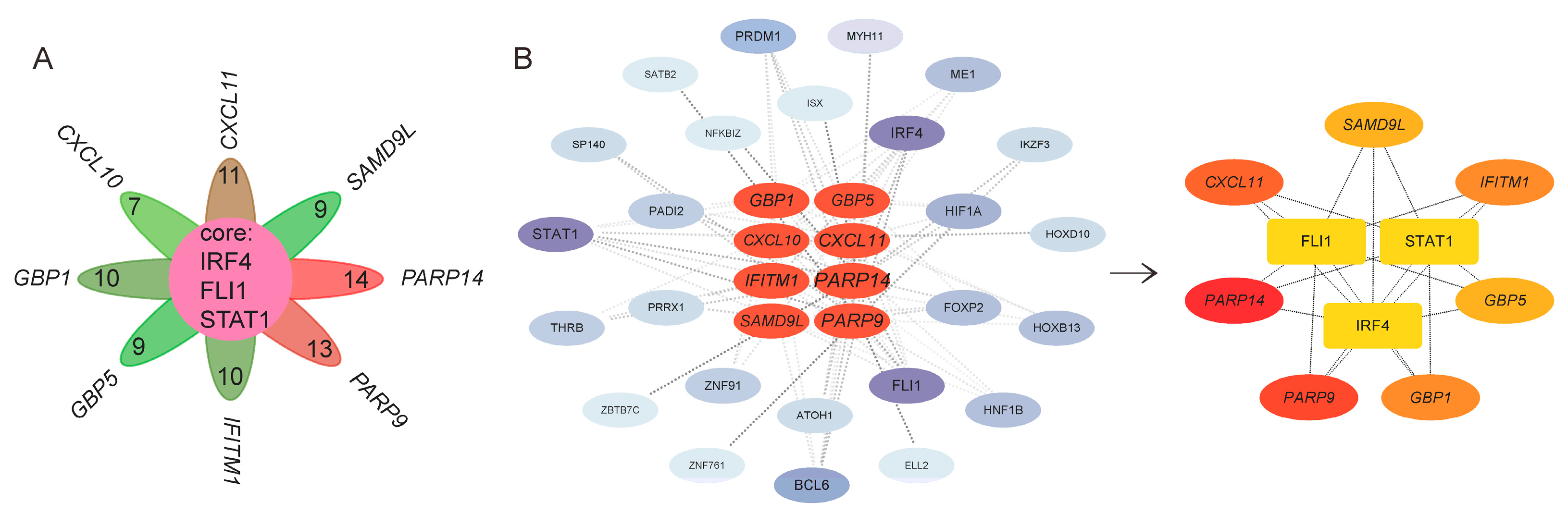 Genes 16 01342 g007 Genes 16 01342 g007