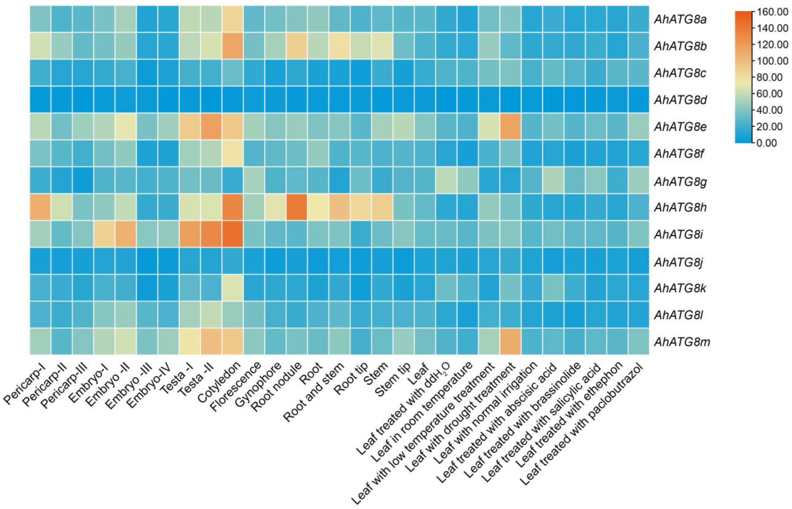 Genes 16 01343 g004 Genes 16 01343 g004