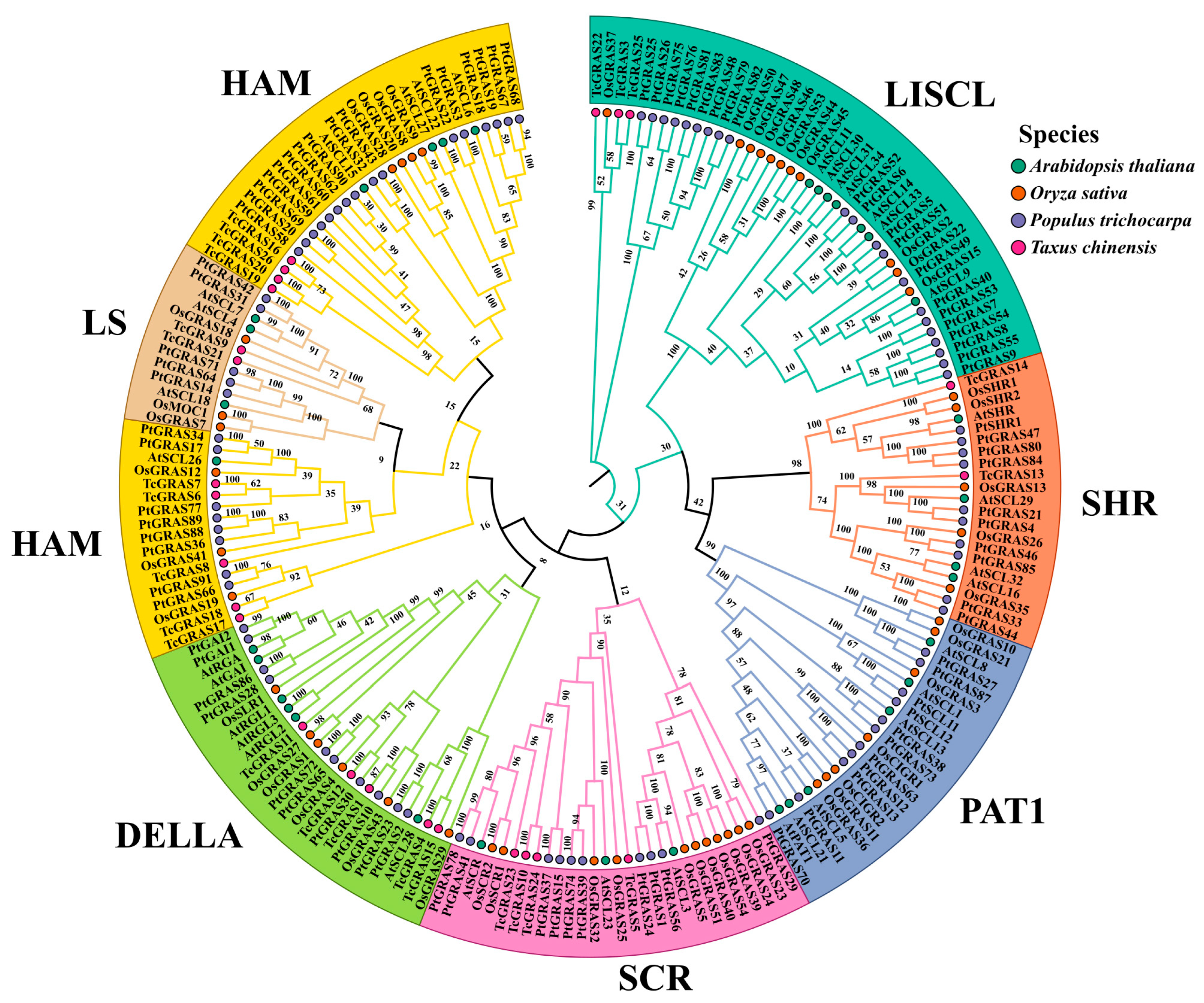 Genes 16 01345 g002