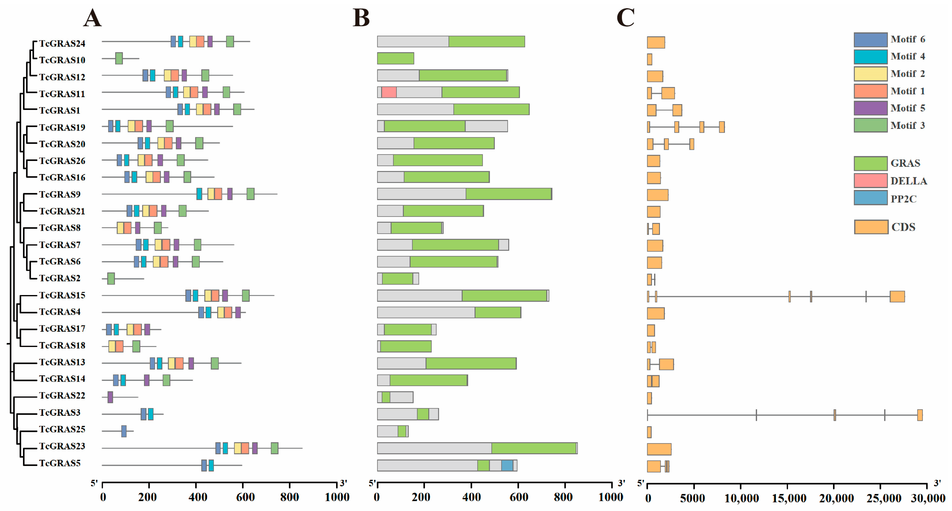 Genes 16 01345 g003