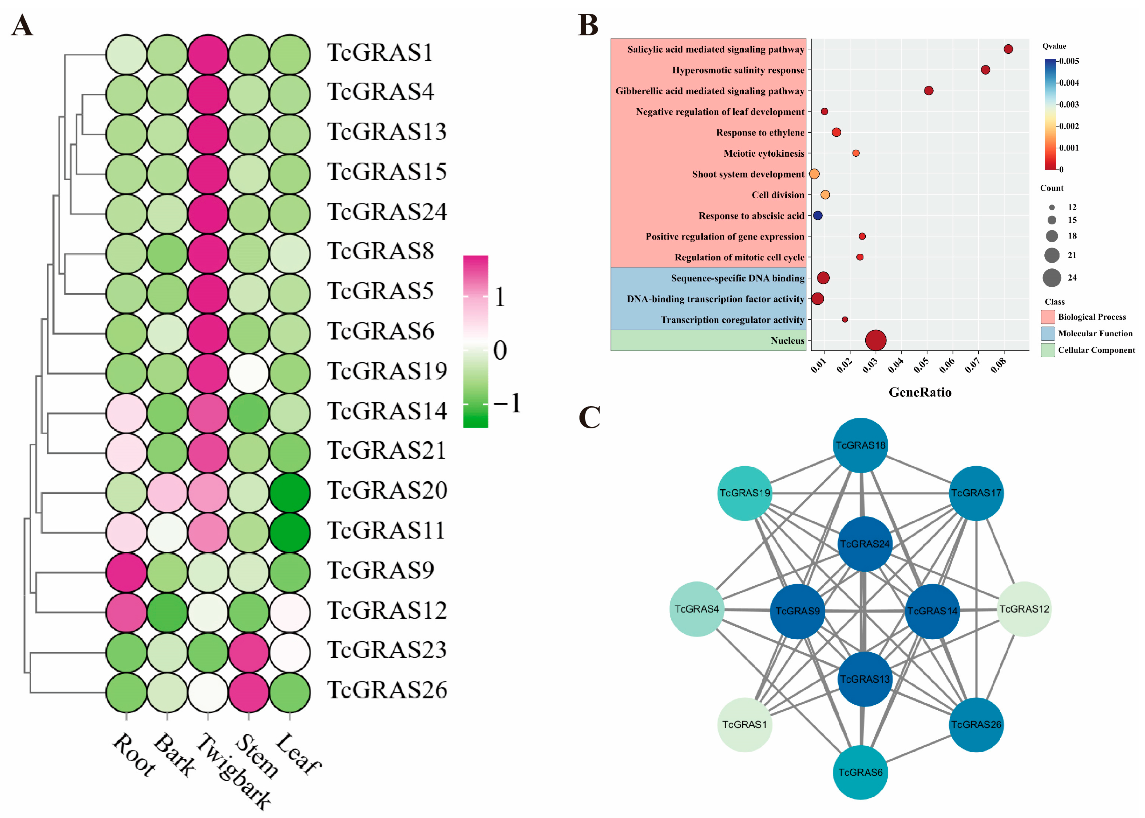 Genes 16 01345 g005