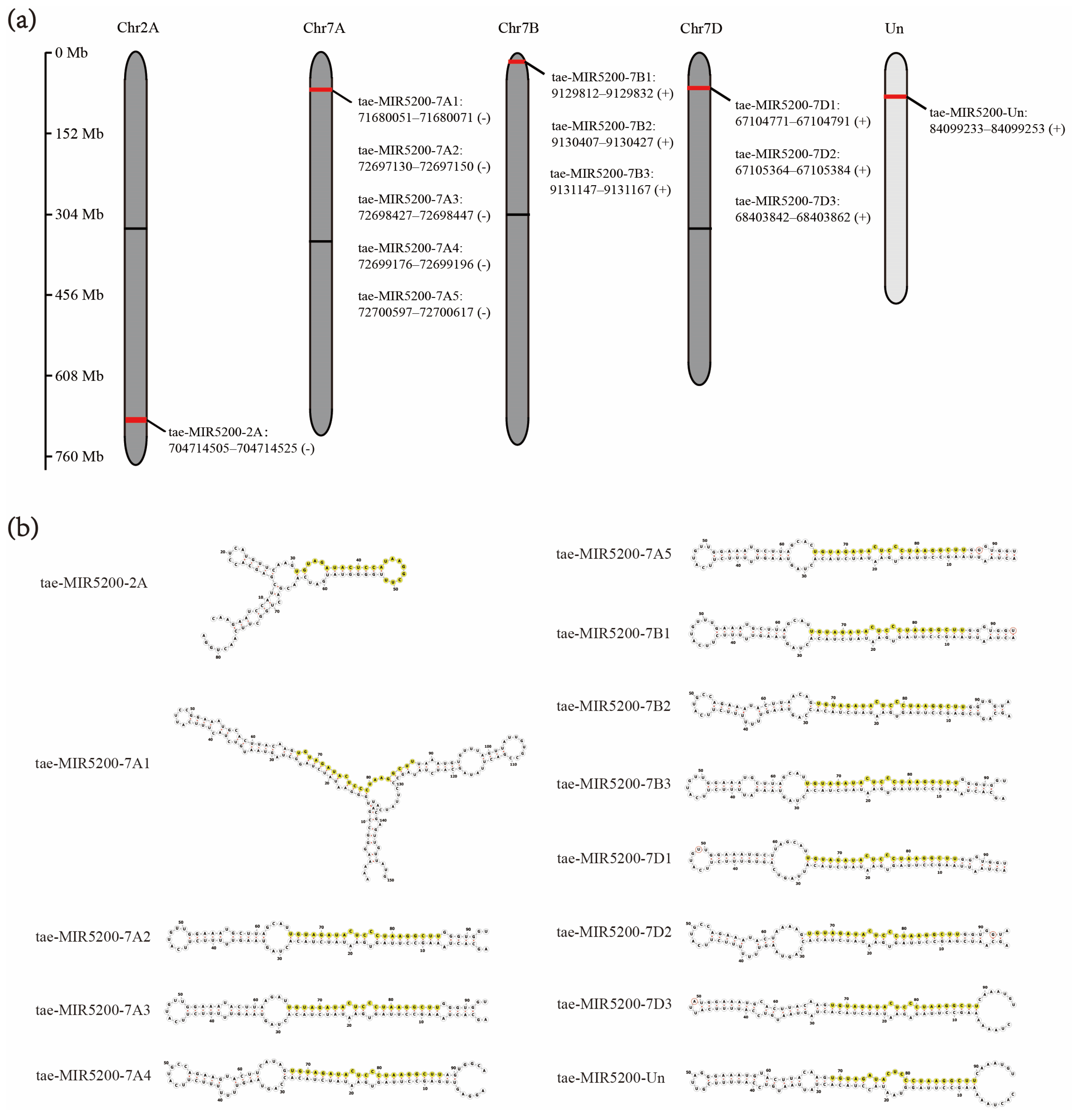 Genes 16 01349 g001 Genes 16 01349 g001