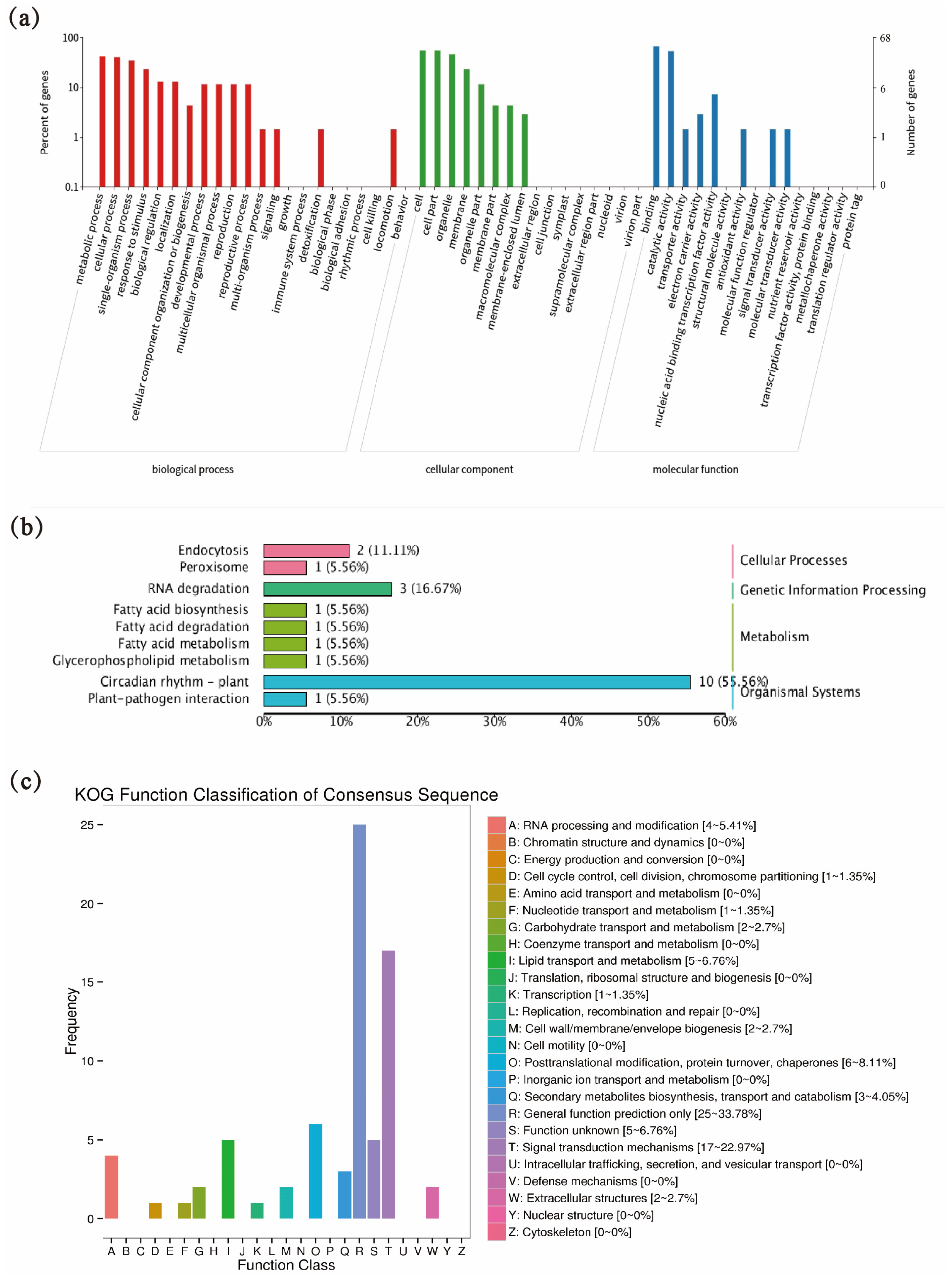 Genes 16 01349 g002 Genes 16 01349 g002