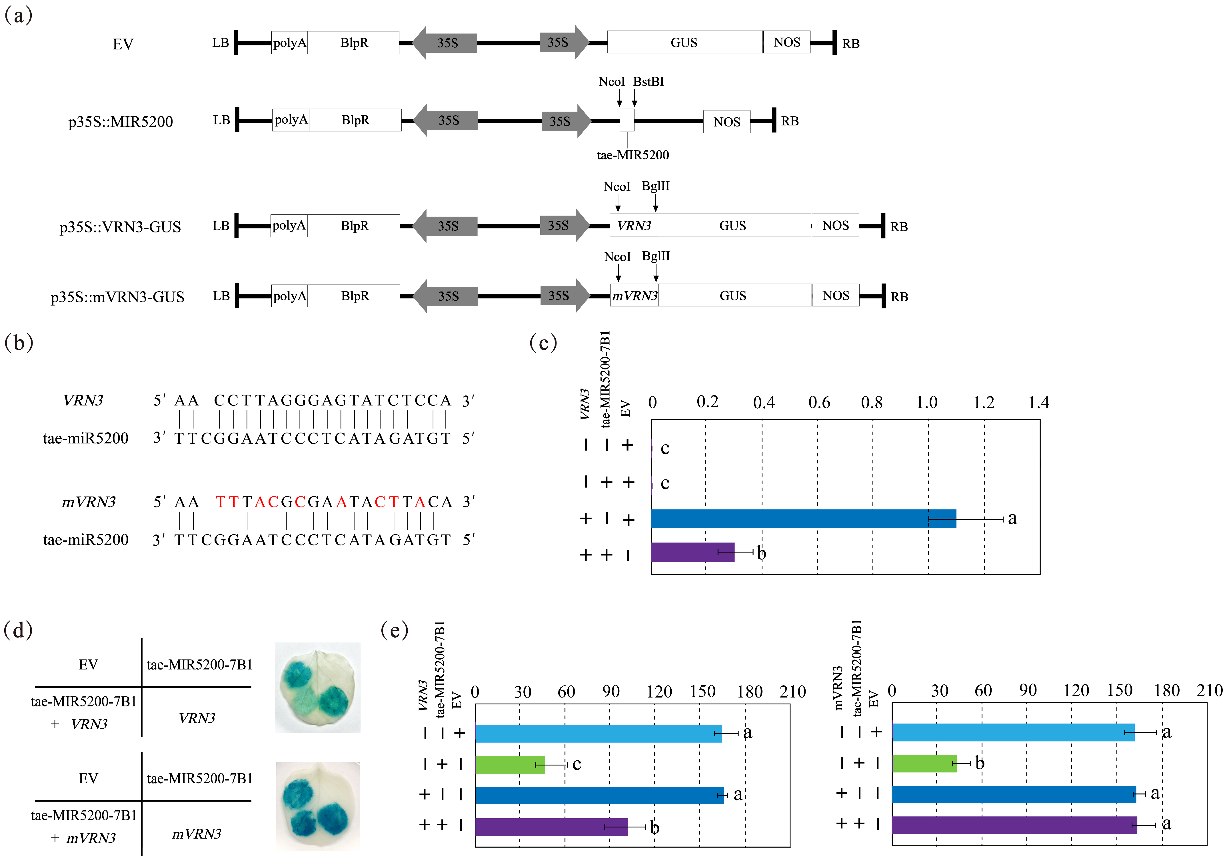 Genes 16 01349 g003 Genes 16 01349 g003