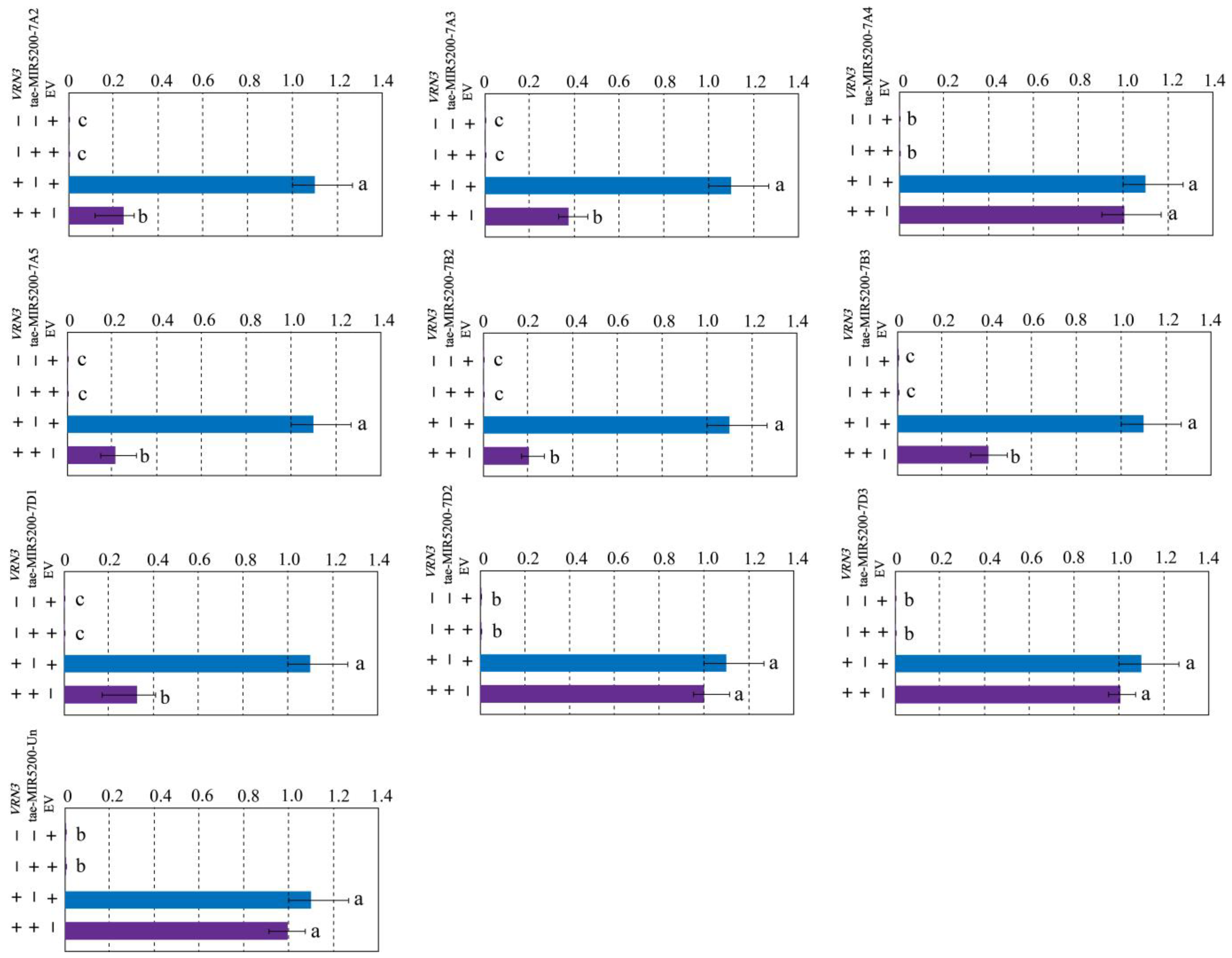 Genes 16 01349 g006 Genes 16 01349 g006