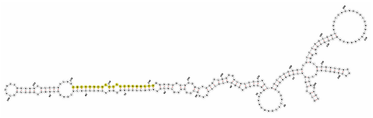 Genes 16 01349 i001 Genes 16 01349 i001