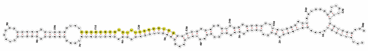 Genes 16 01349 i003 Genes 16 01349 i003