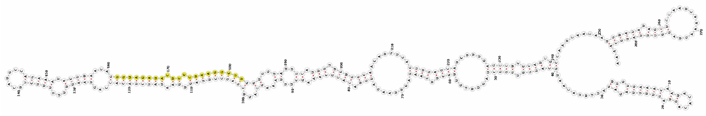 Genes 16 01349 i005 Genes 16 01349 i005