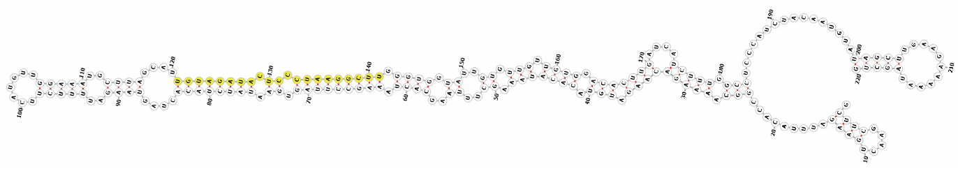 Genes 16 01349 i006 Genes 16 01349 i006