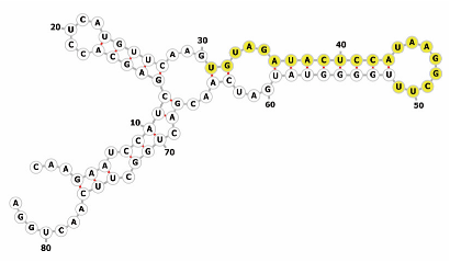 Genes 16 01349 i008 Genes 16 01349 i008