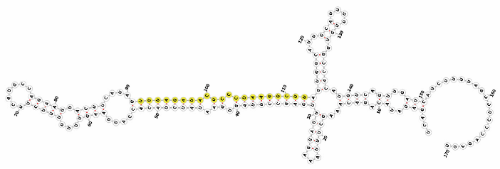 Genes 16 01349 i010 Genes 16 01349 i010