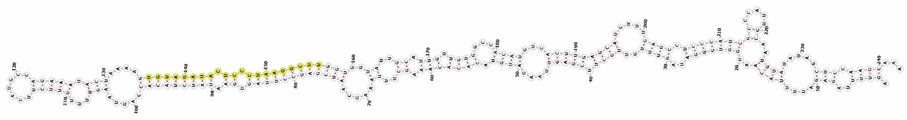 Genes 16 01349 i011 Genes 16 01349 i011