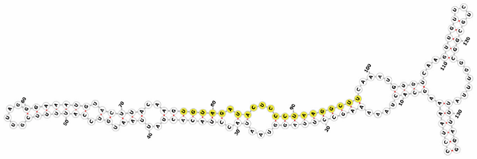 Genes 16 01349 i013 Genes 16 01349 i013