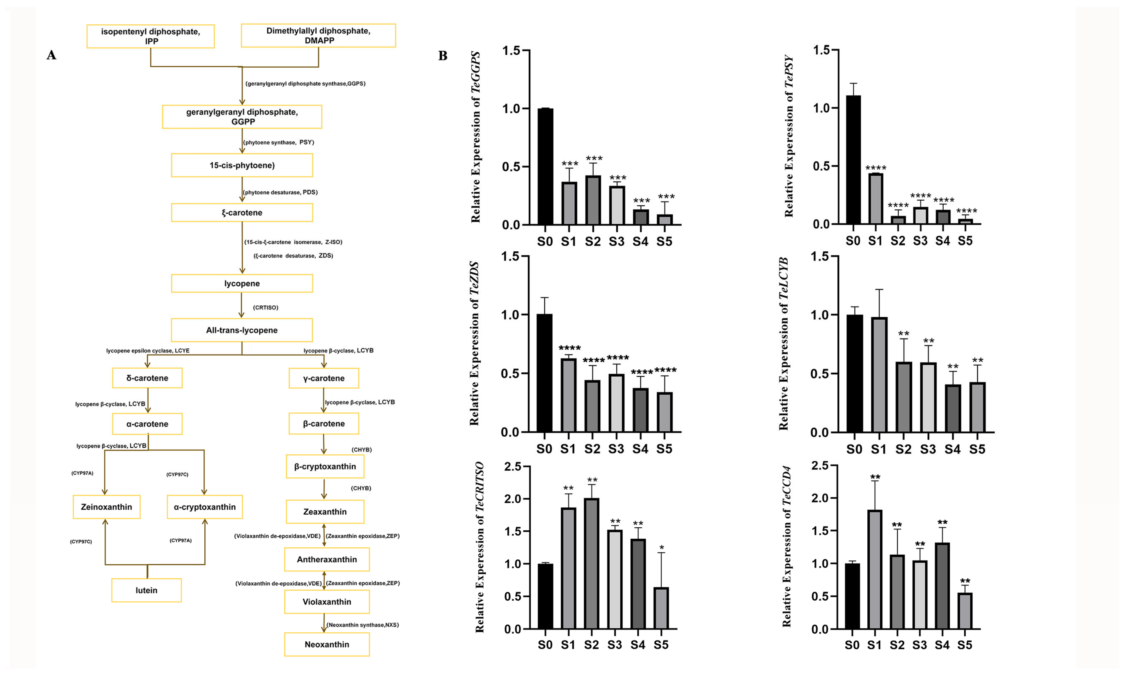 Genes 16 01350 g002