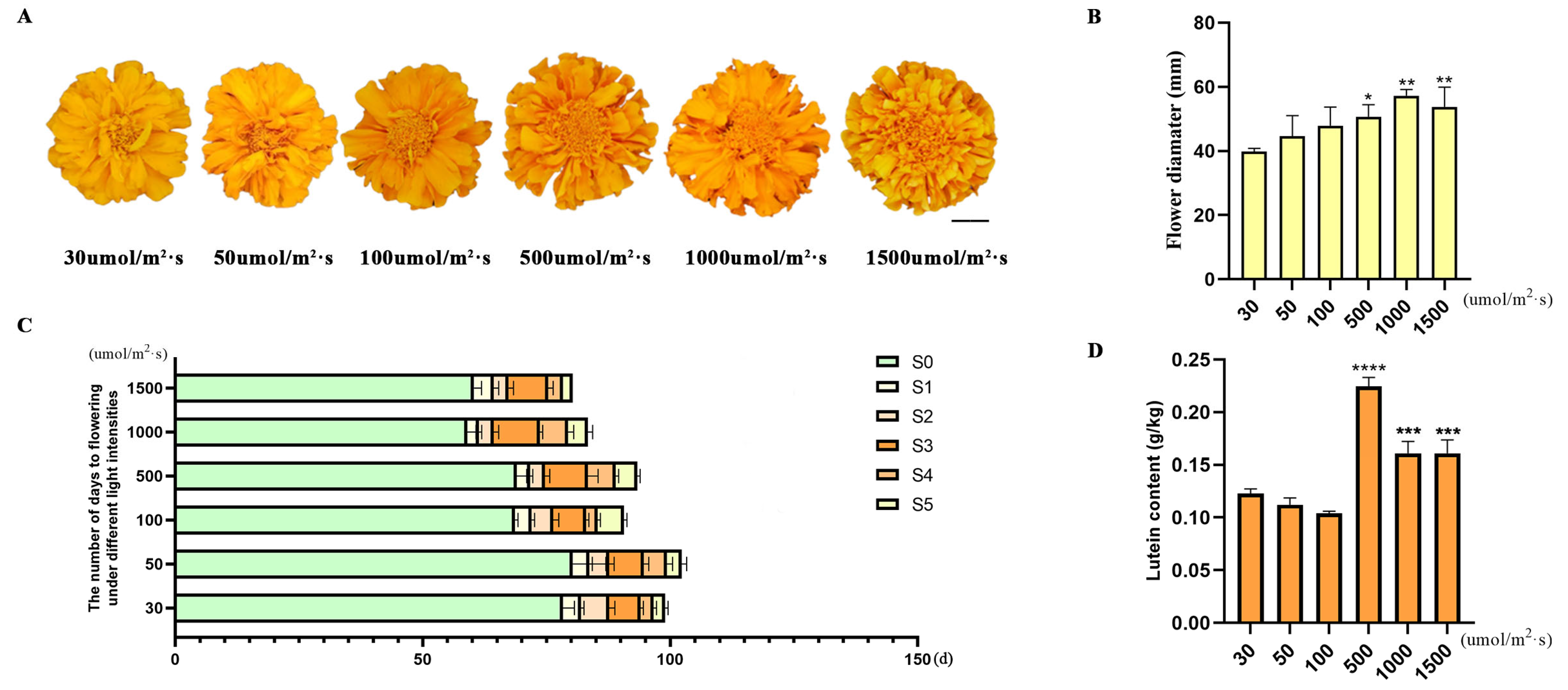 Genes 16 01350 g003