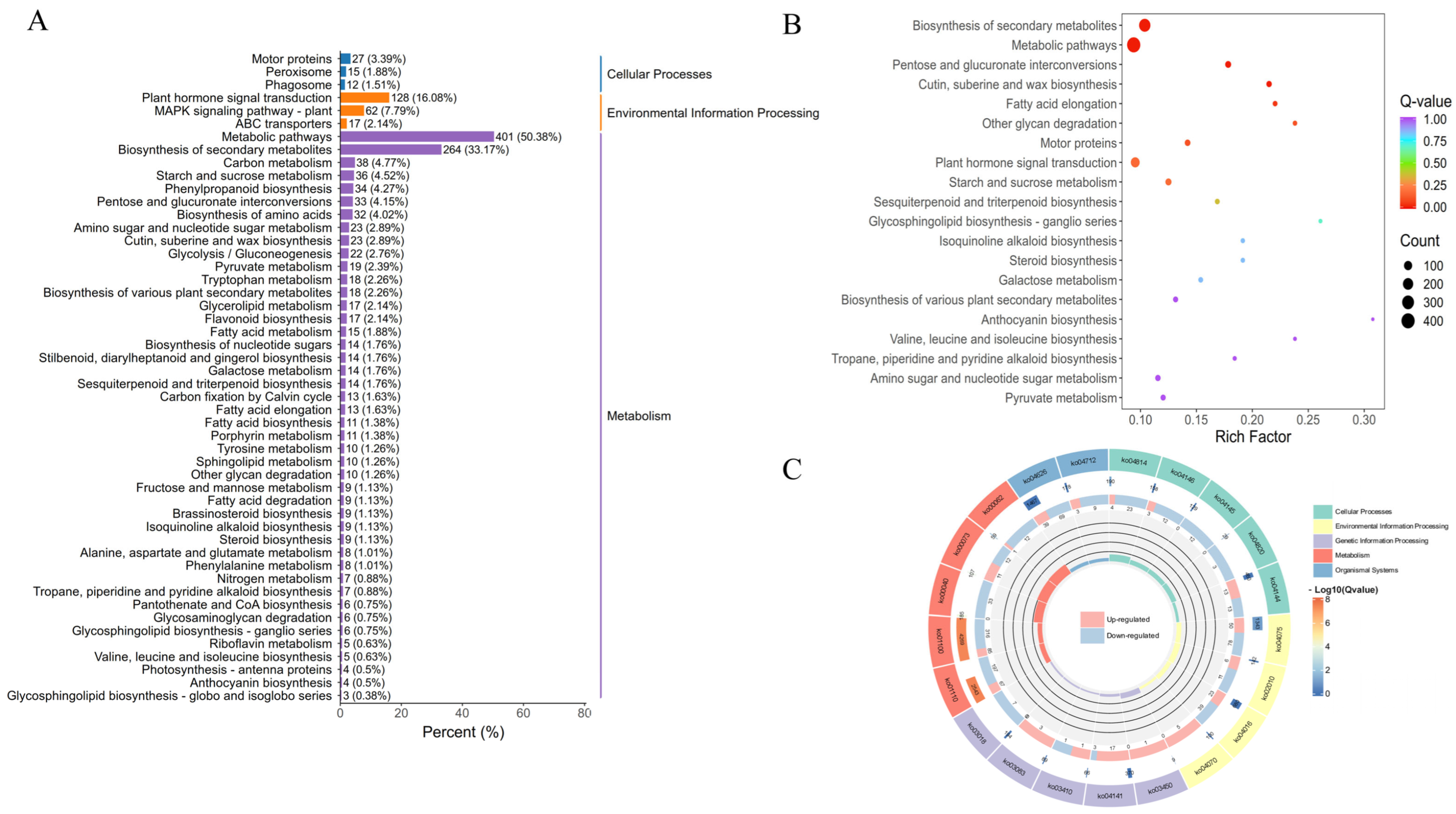 Genes 16 01350 g005