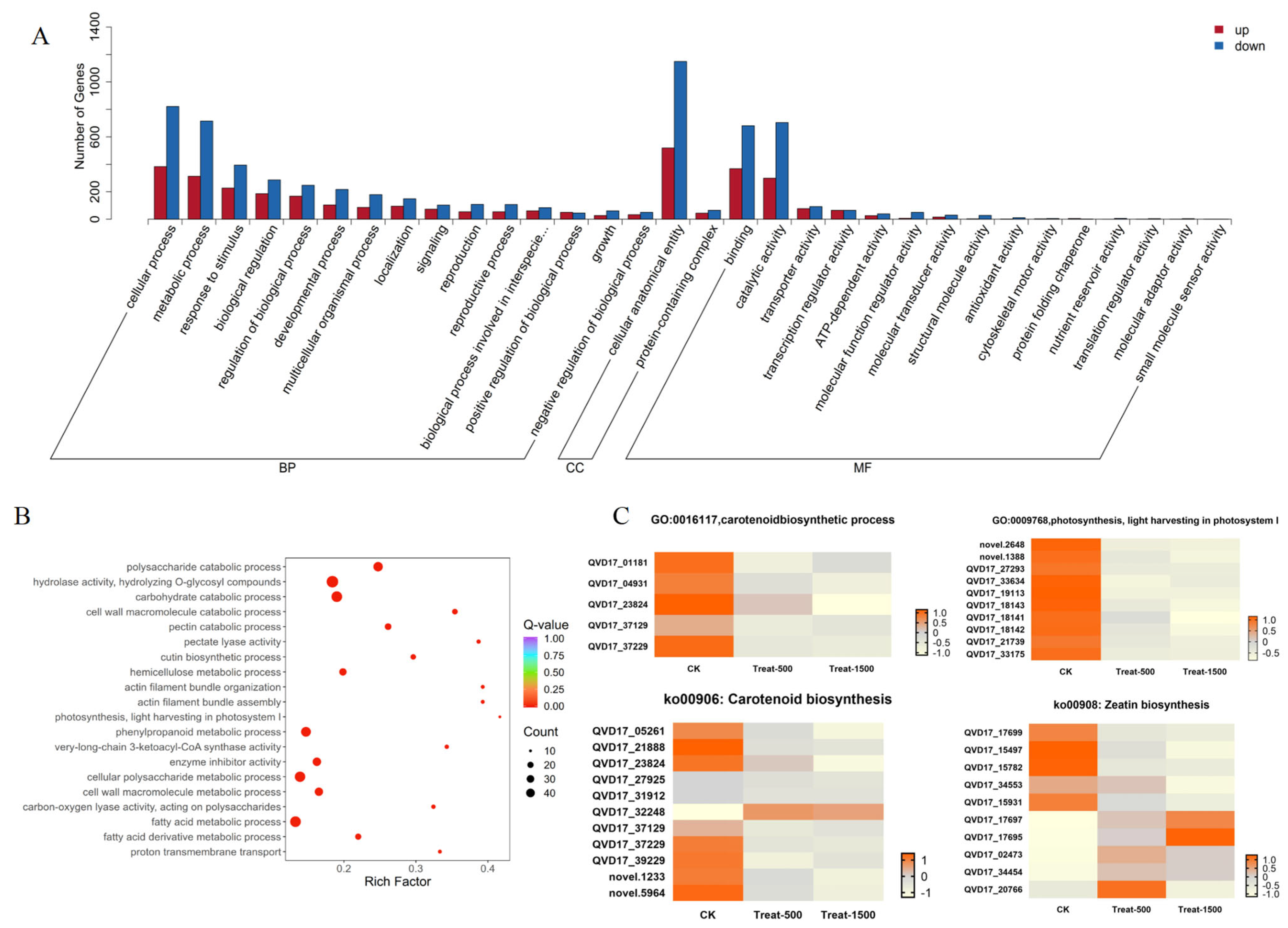 Genes 16 01350 g006