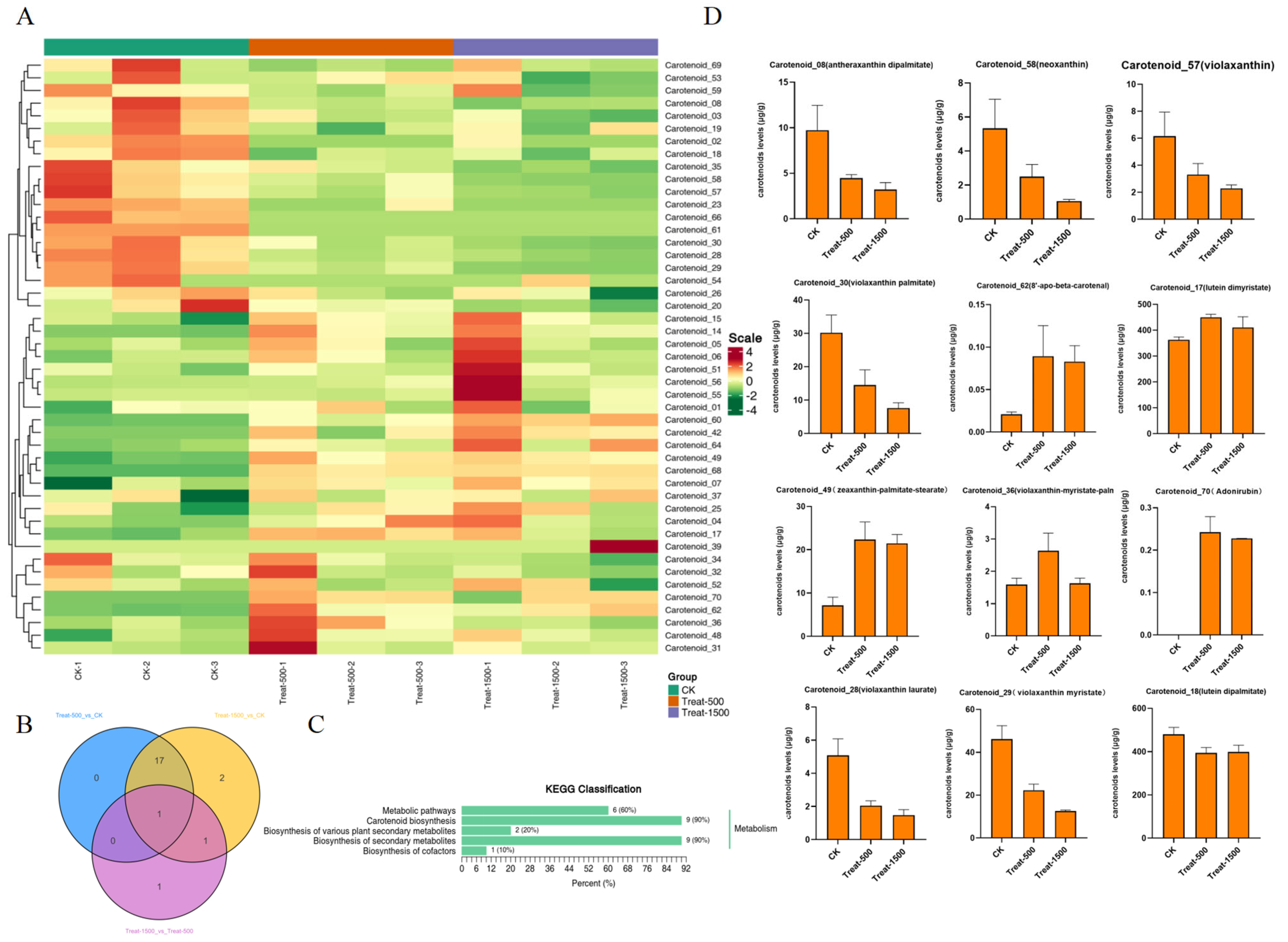 Genes 16 01350 g008